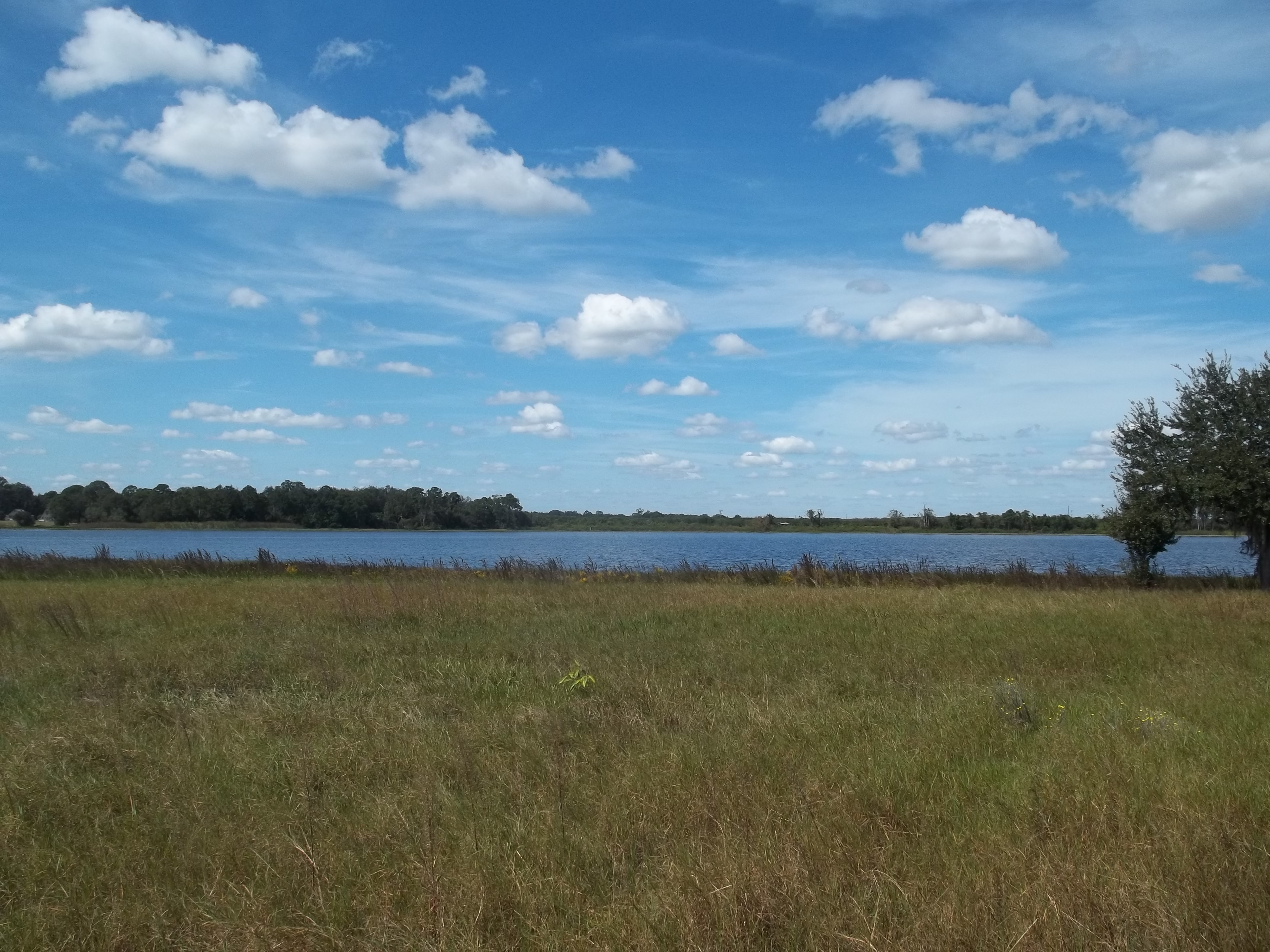 Lake Adelaide