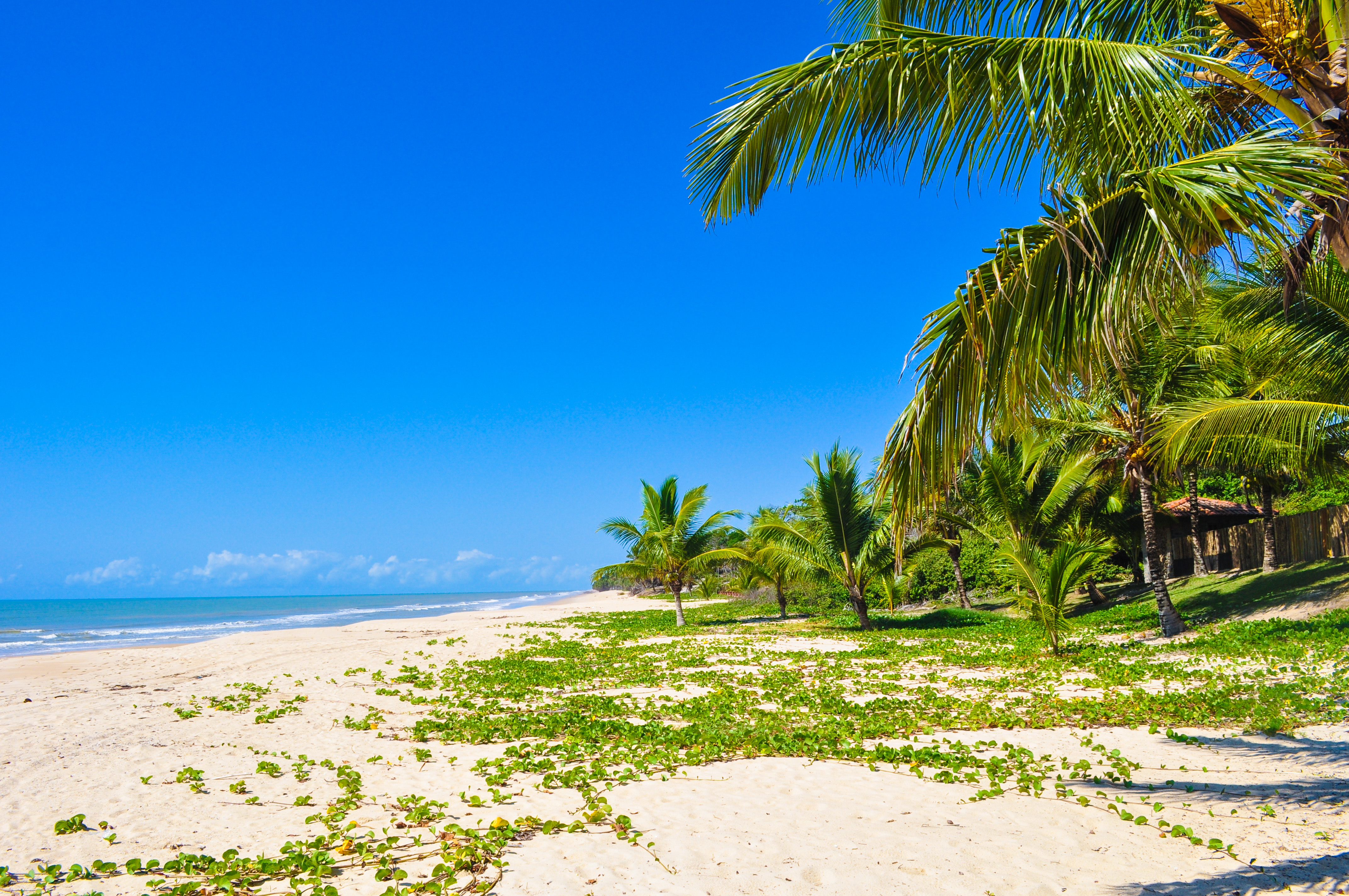 Caravelas, Brazil
