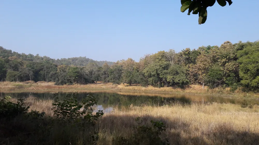 Pench National Park