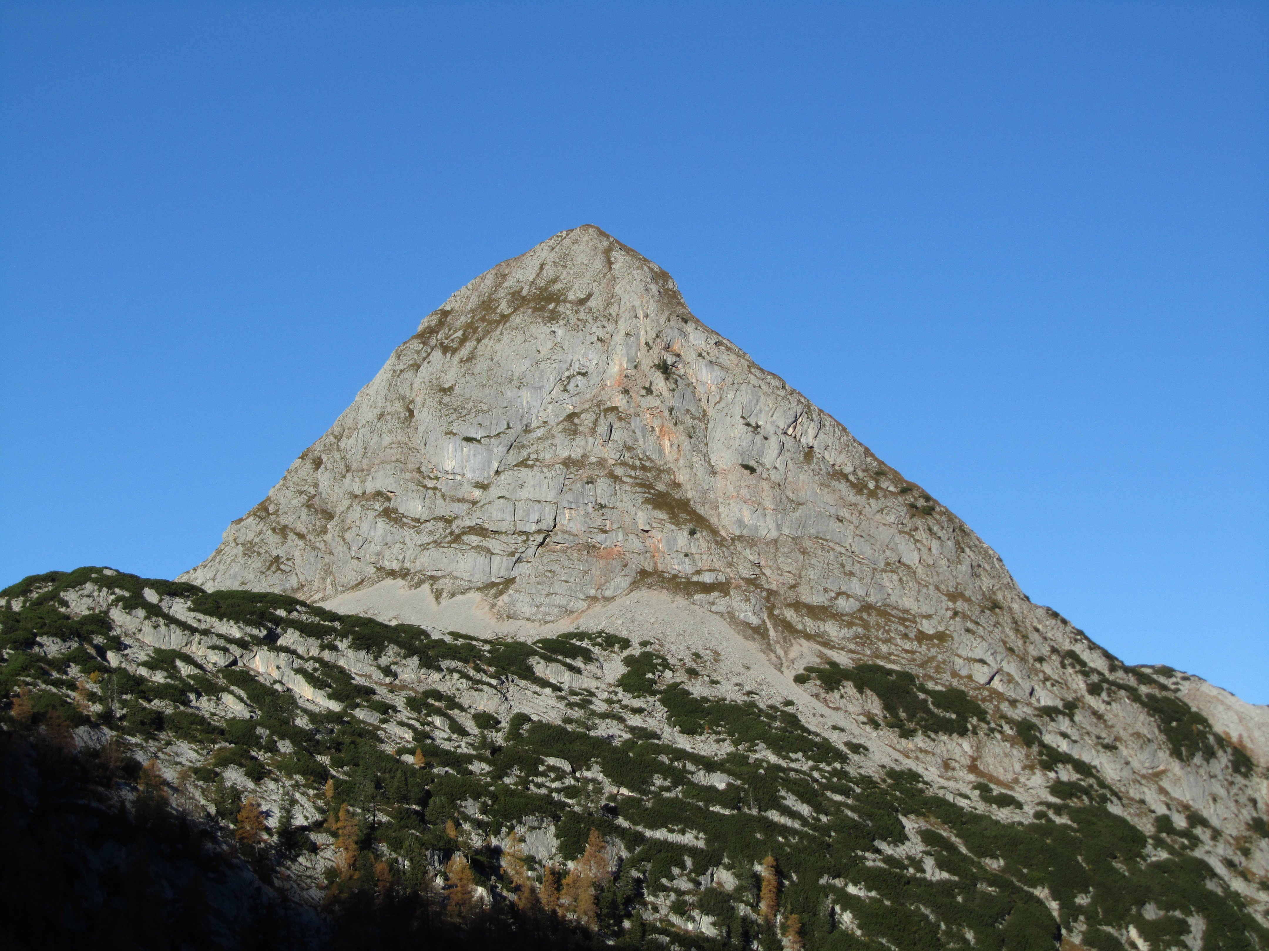Viehkogel