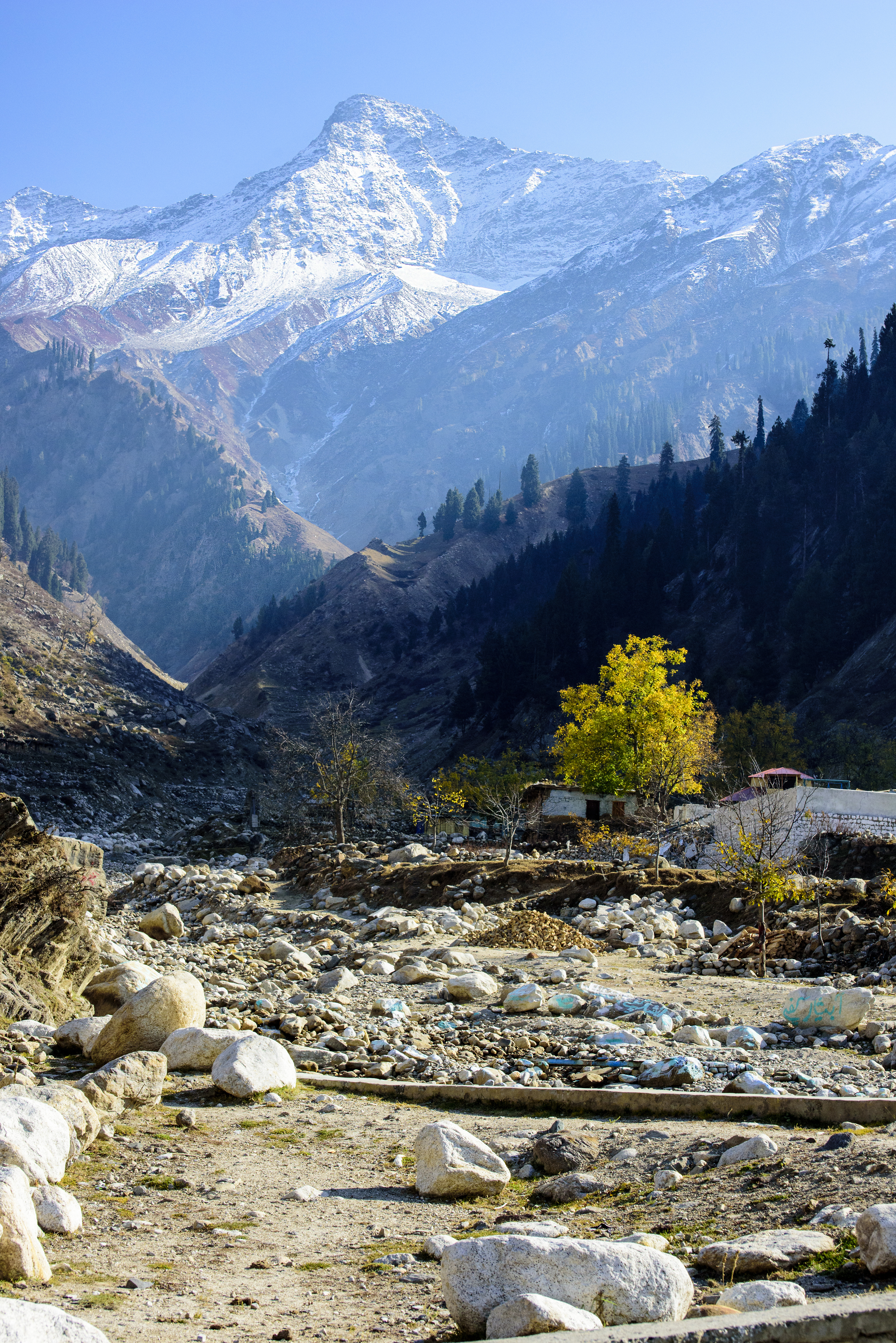 Malika Parbat