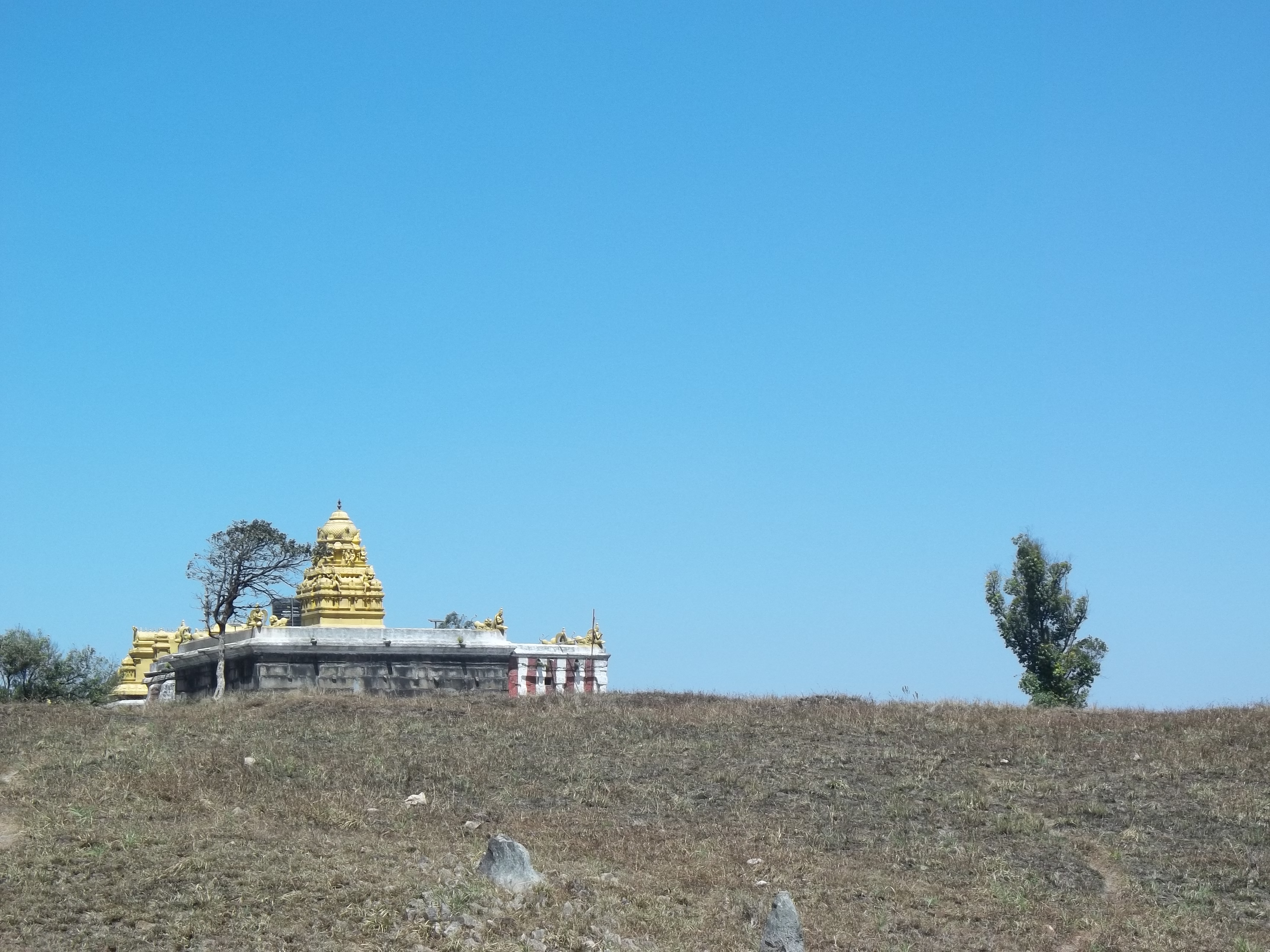 Biligiriranga Hills, India