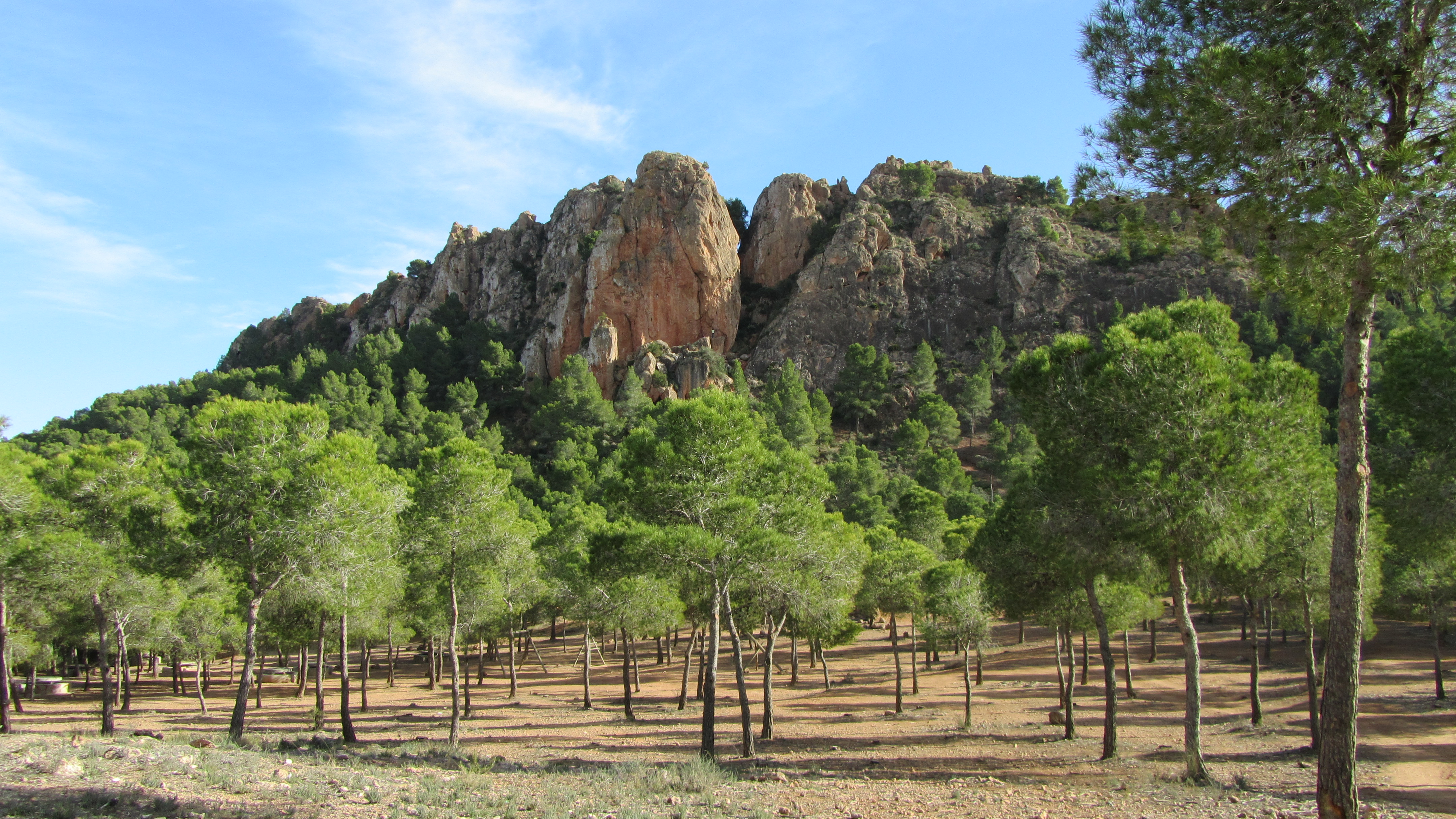 Cresta del Gallo