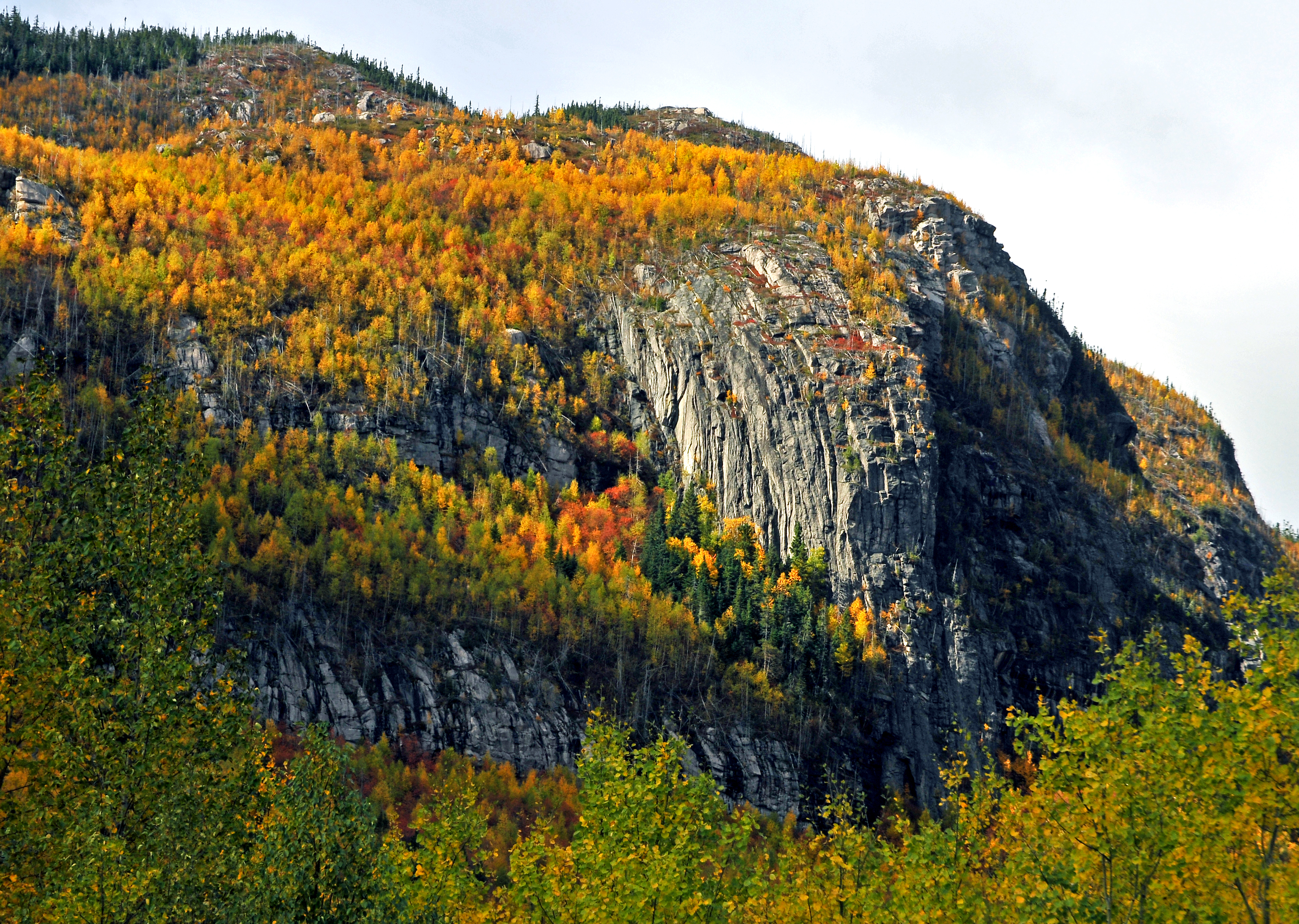Grands-Jardins National Park, Canada
