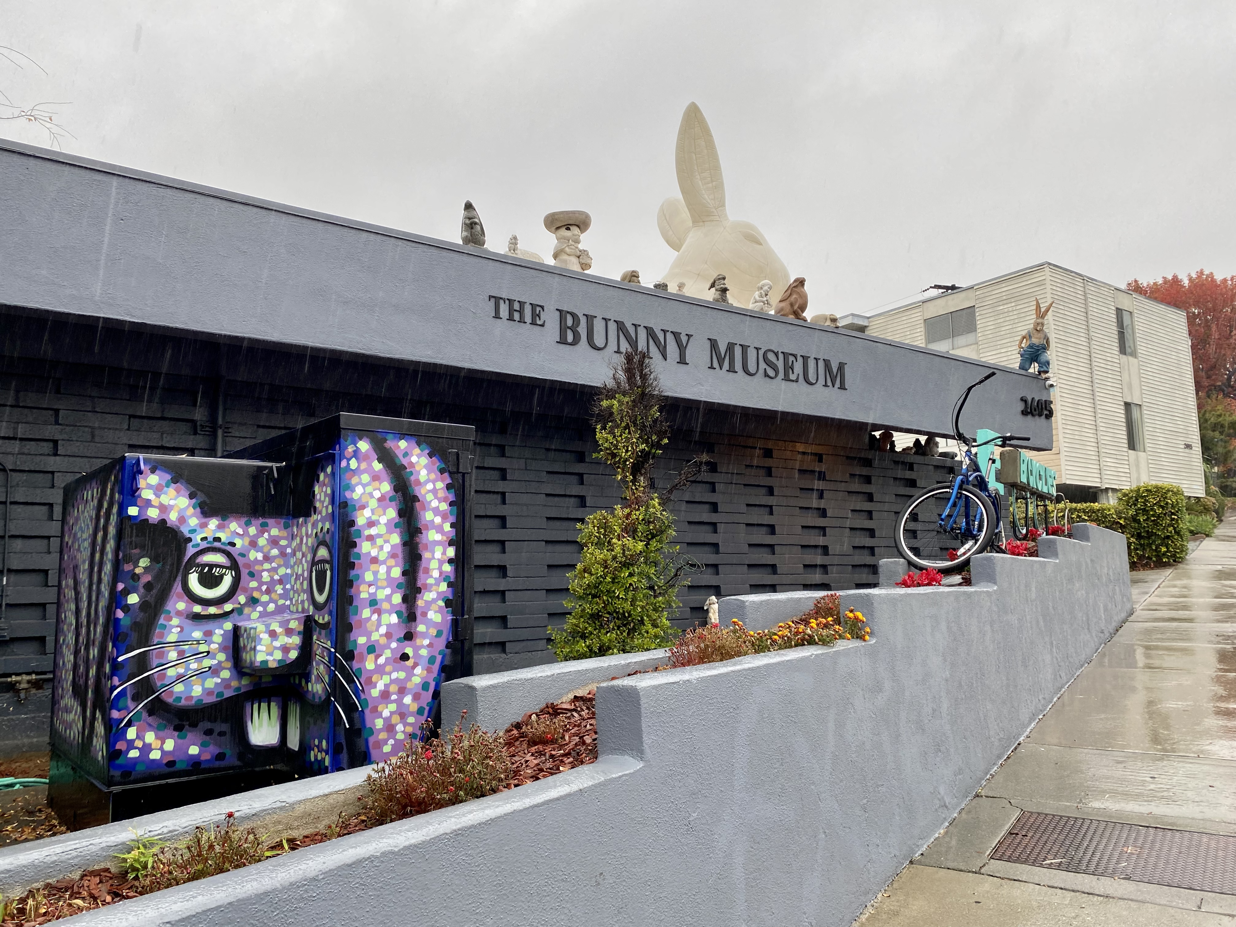 The Bunny Museum