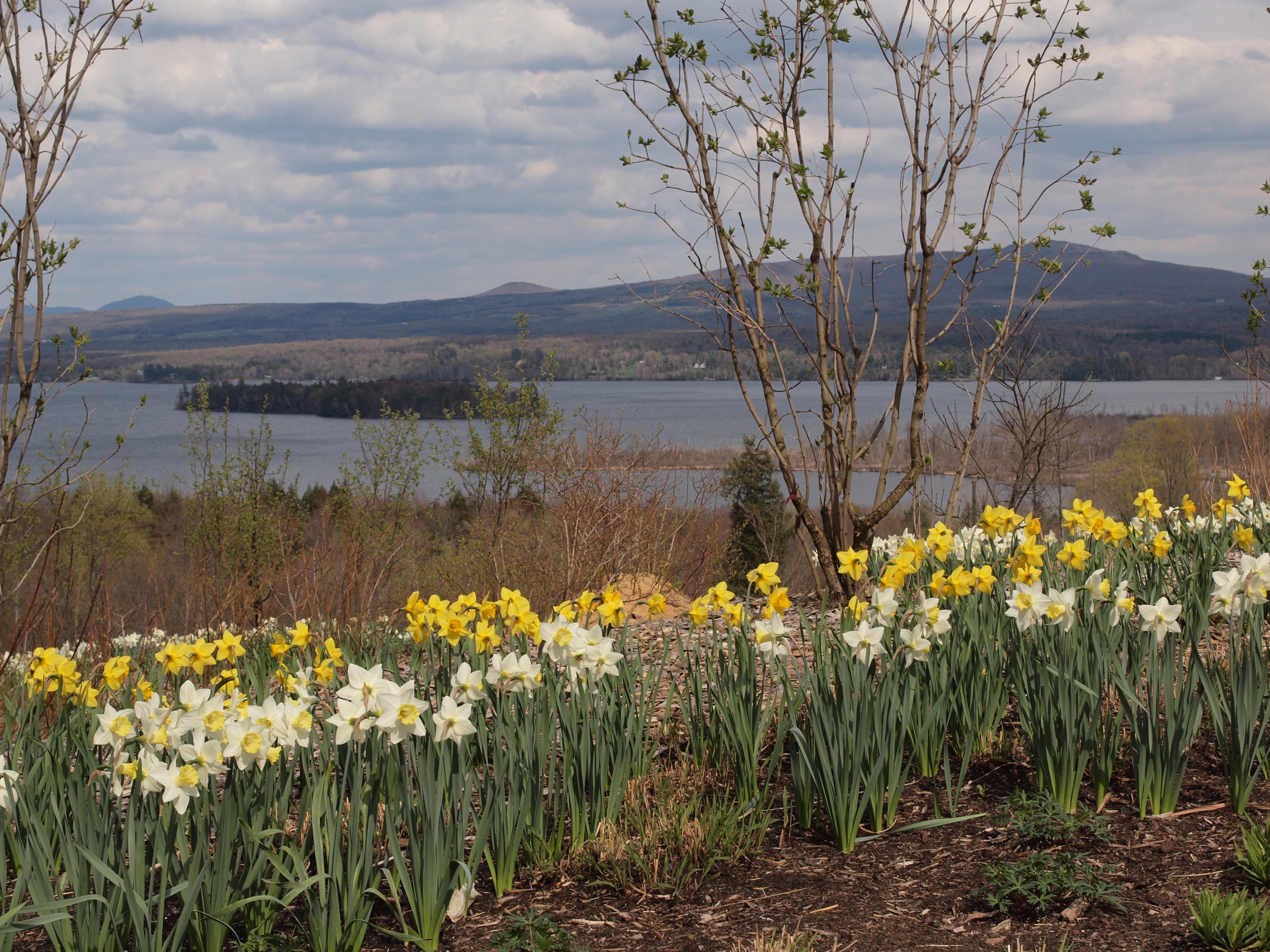 Lac Brome