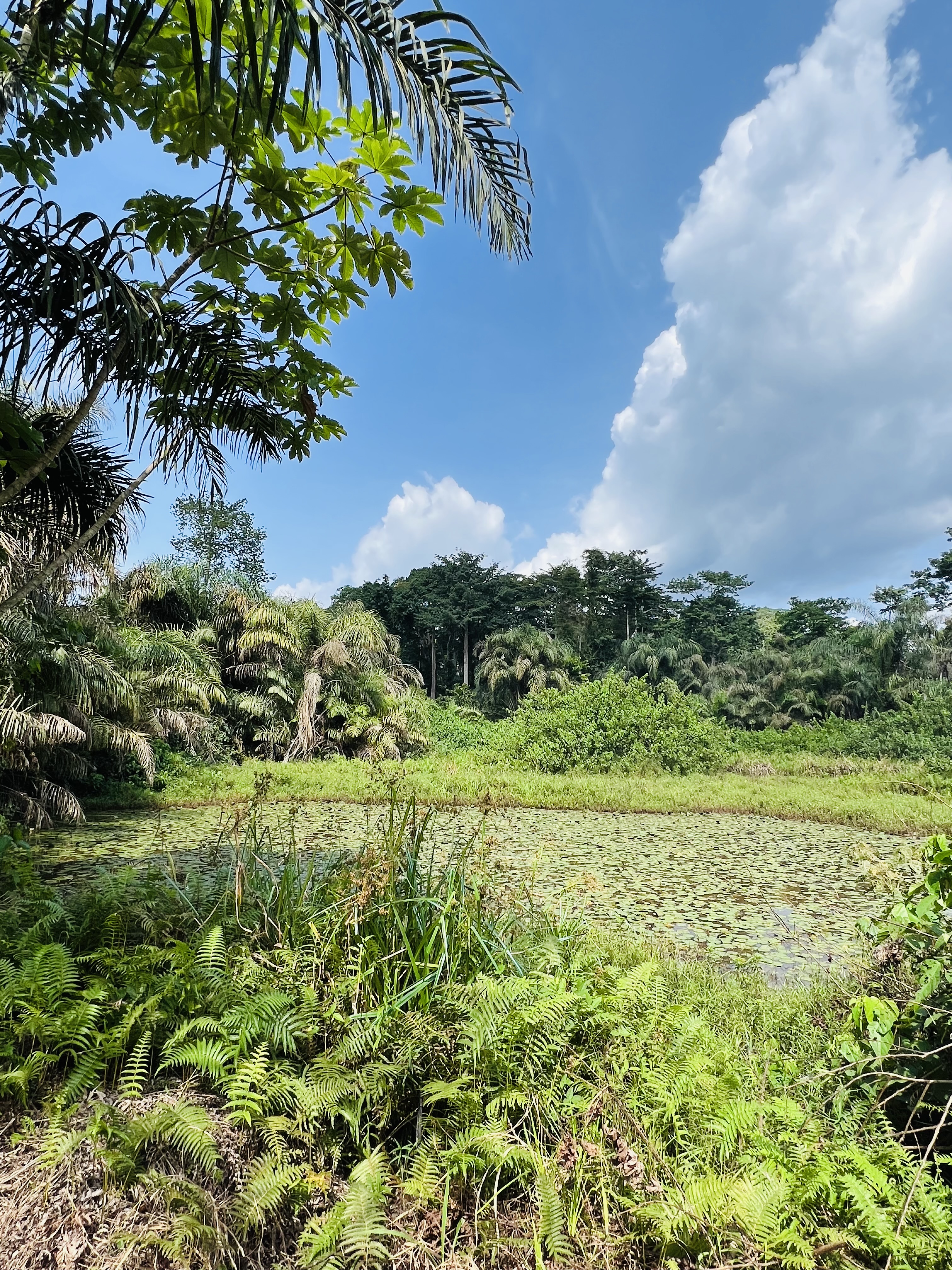 Bia National Park