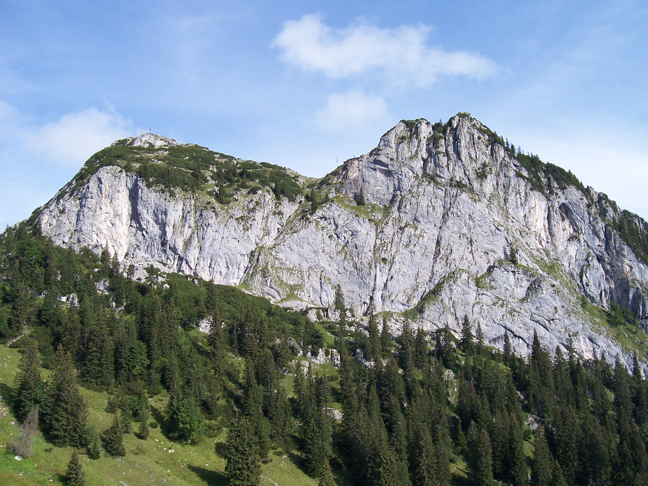 Roß- und Buchstein