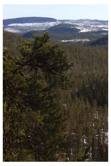 Björnlandet National Park