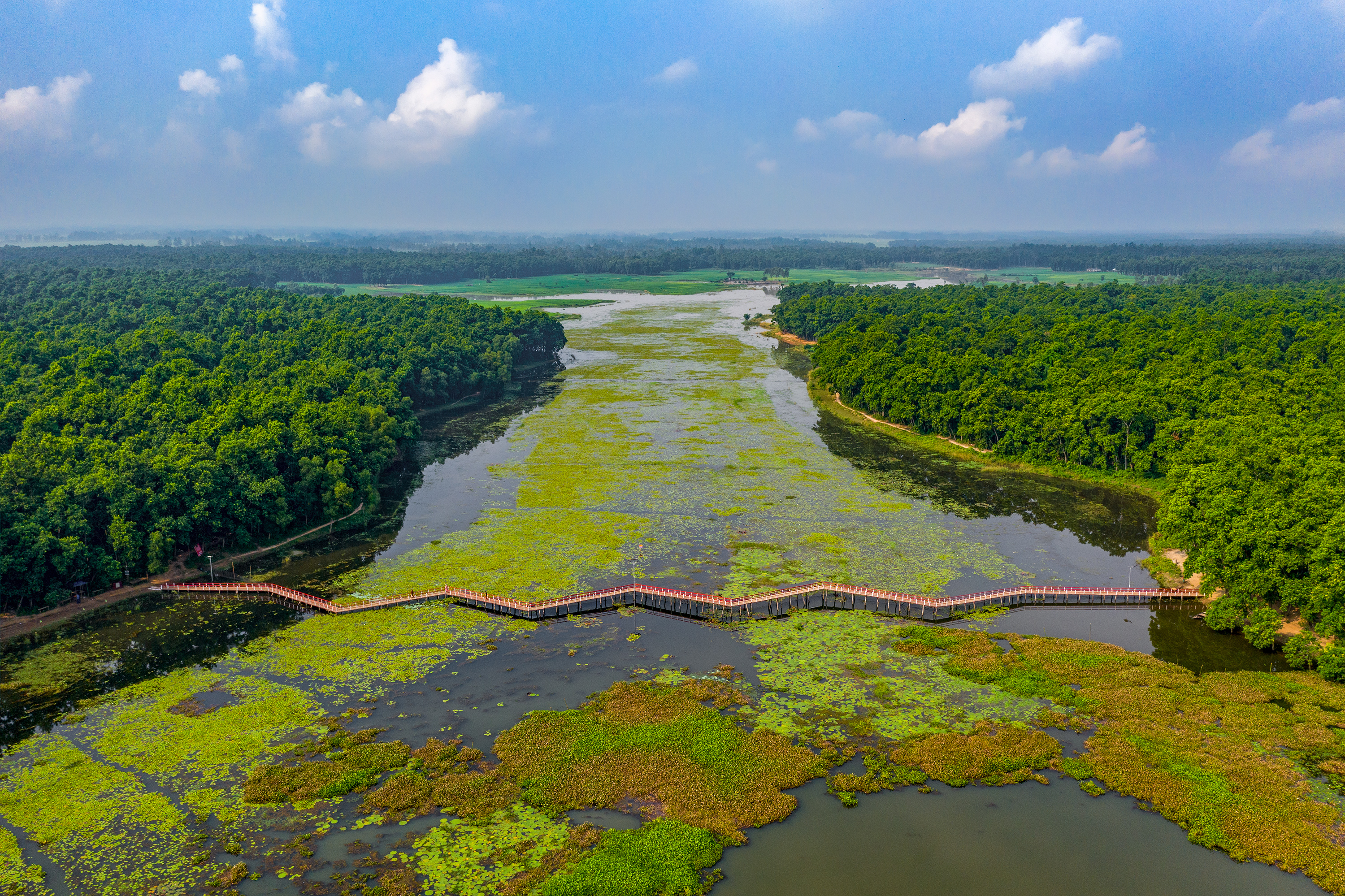 Nawabganj National Park