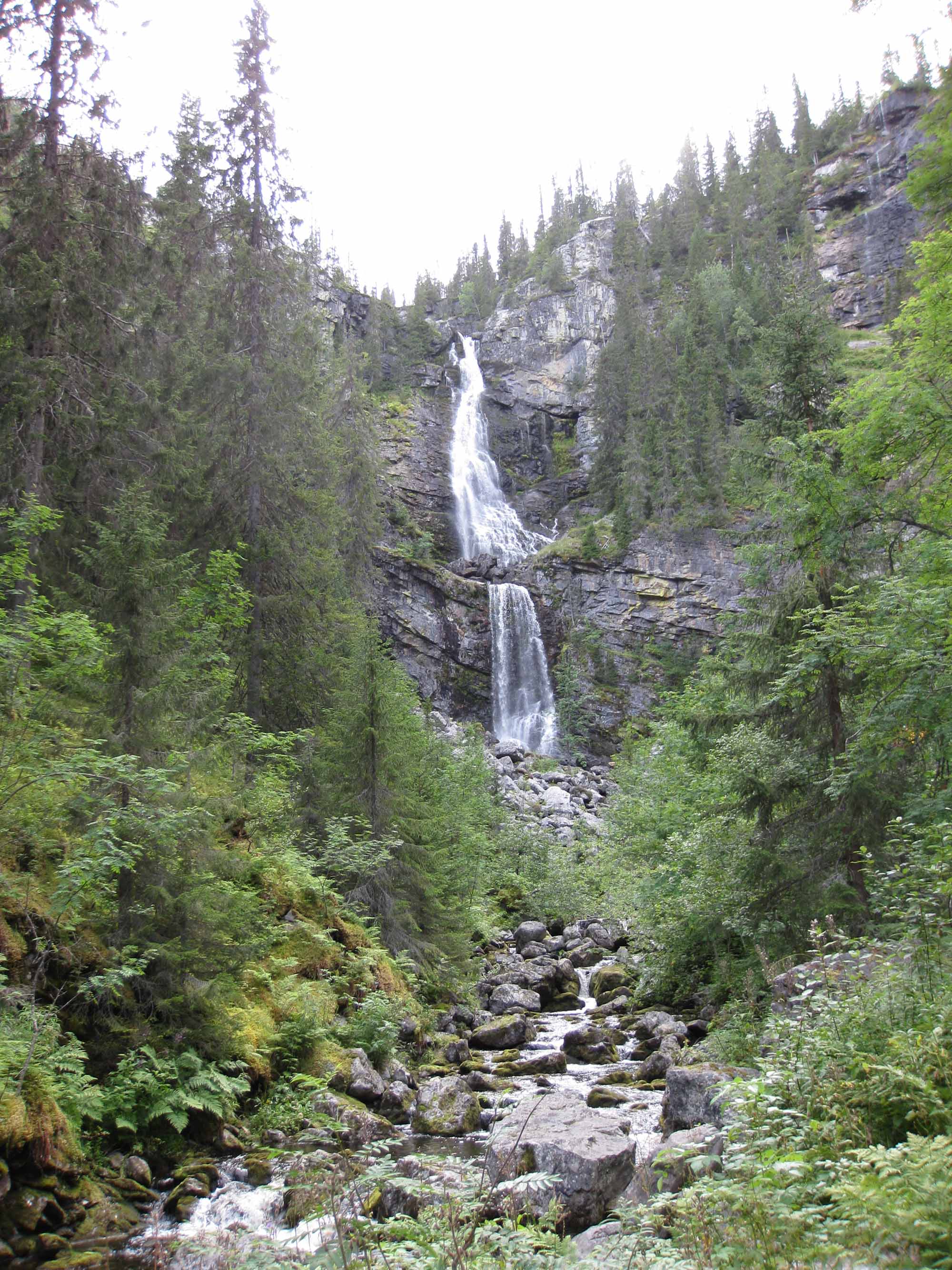 Fettjeåfallet