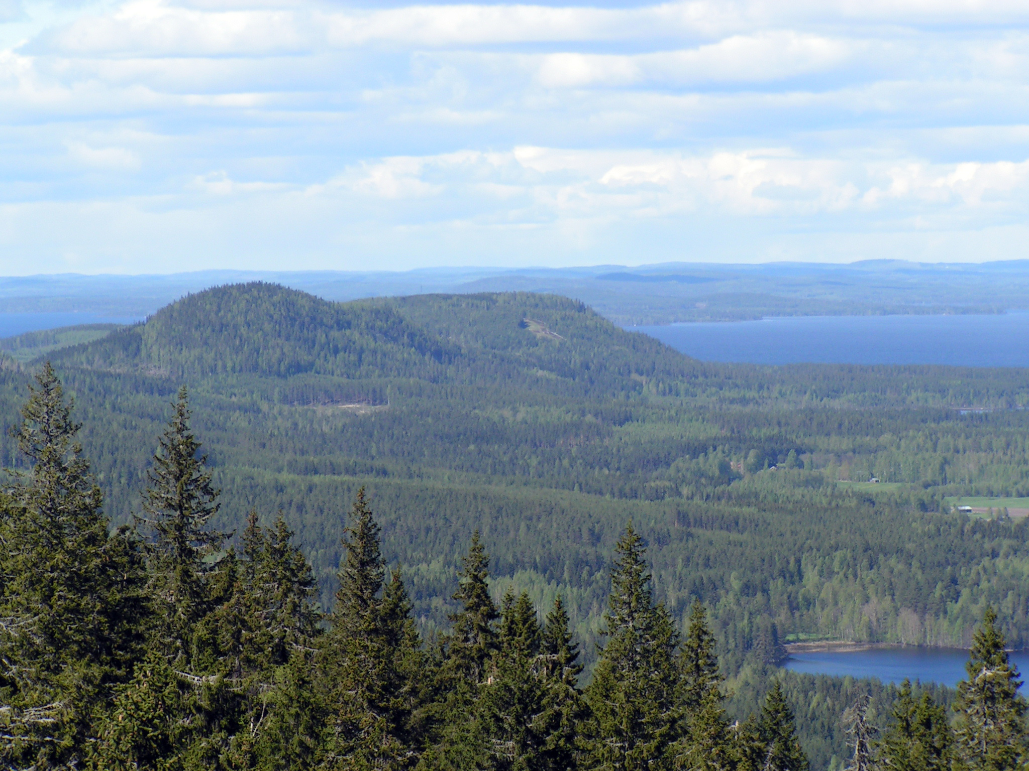 Koli National Park, Finland