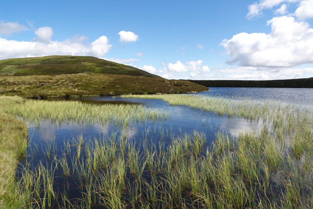 Loch Fender