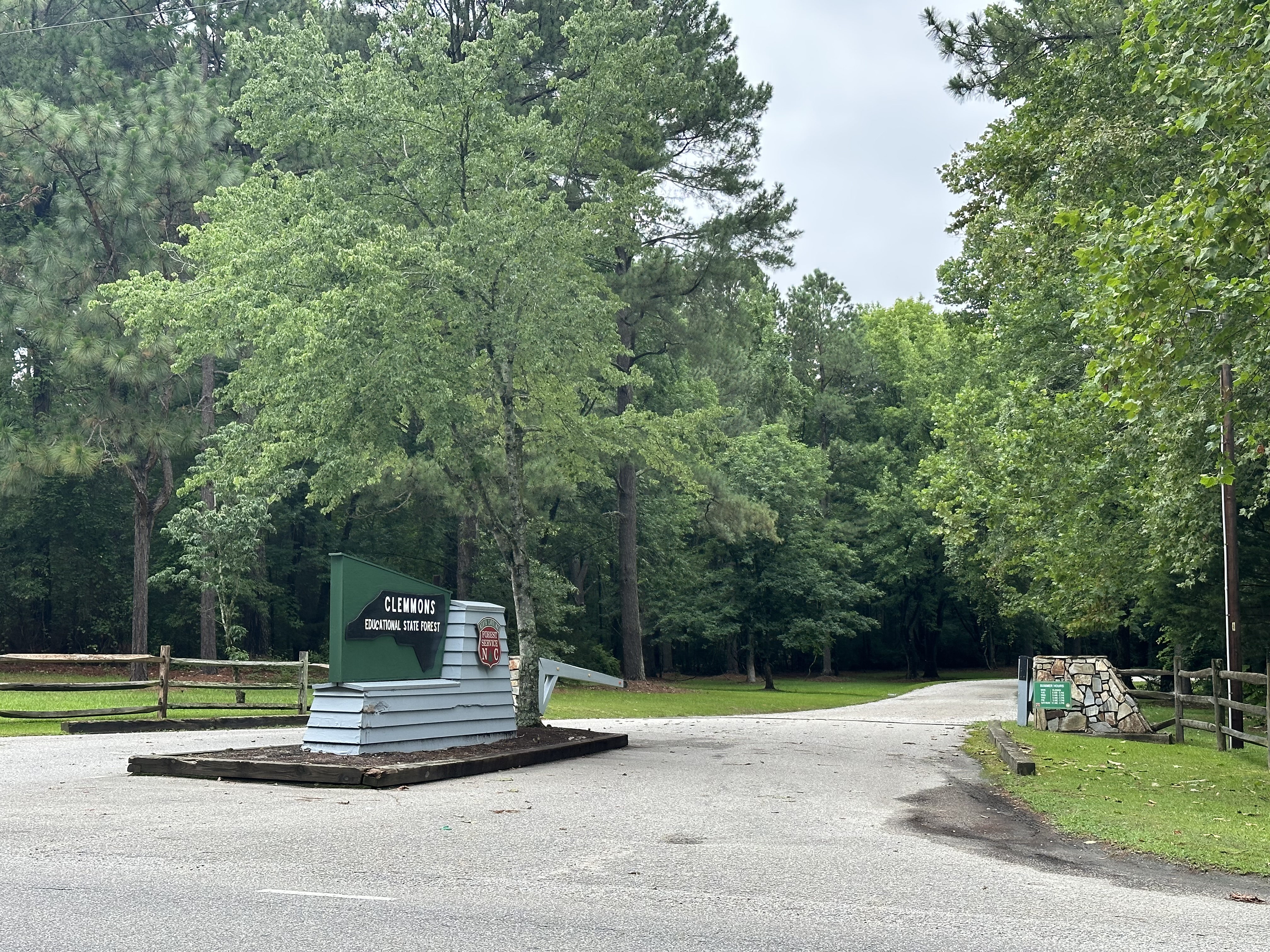 Clemmons Educational State Forest