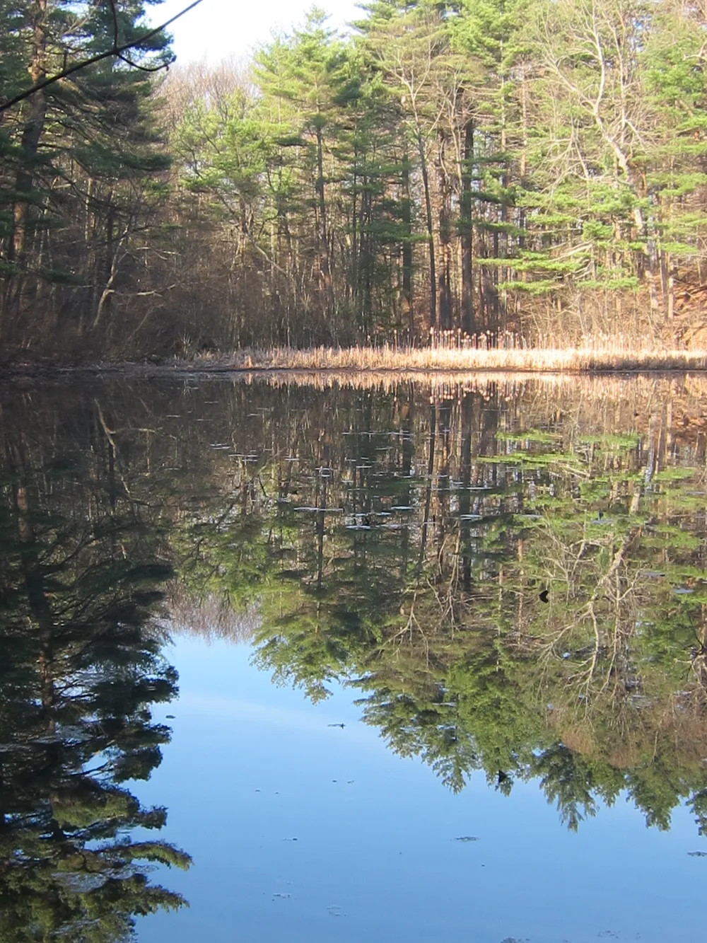 Fairyland Pond