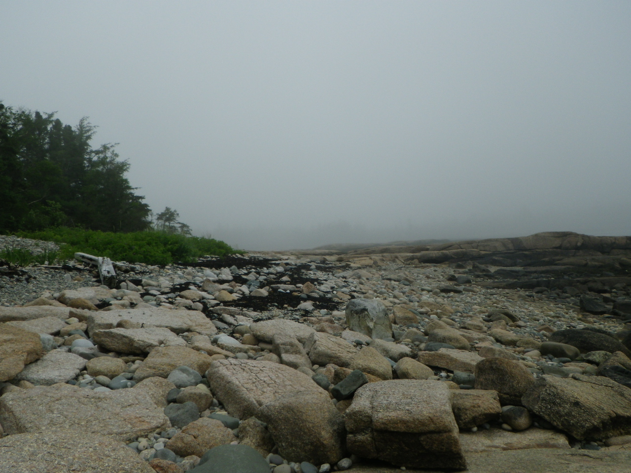 Great Wass Island