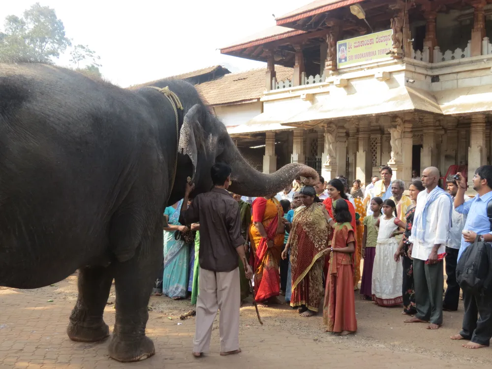 Baindur, India
