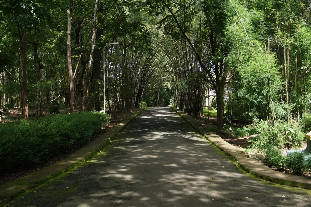 Teak Museum
