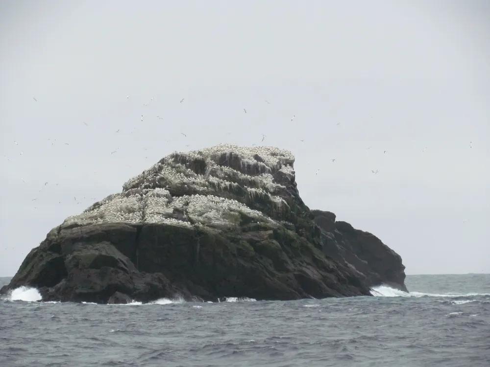 Sule Stack