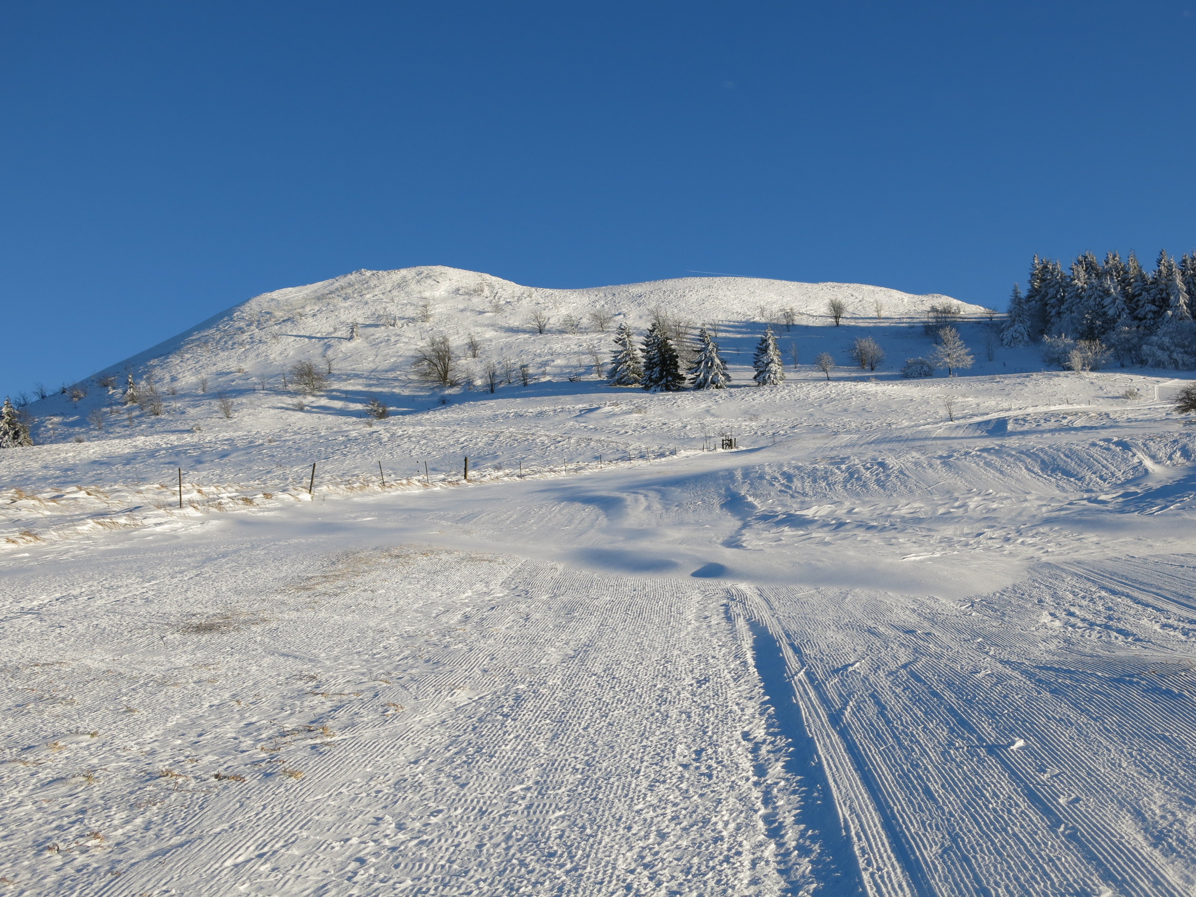 Abtsrodaer Kuppe
