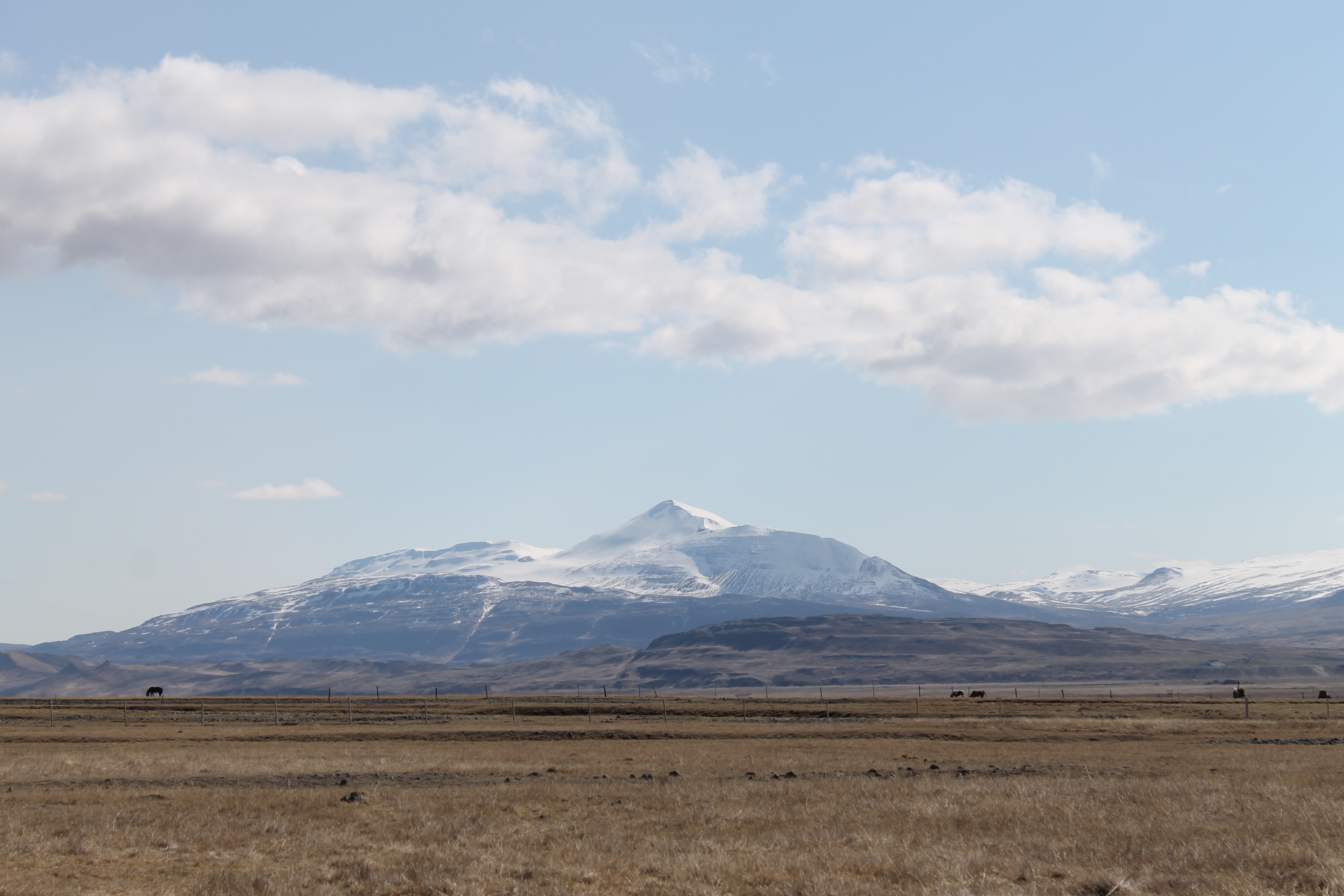 Mælifellshnjúkur