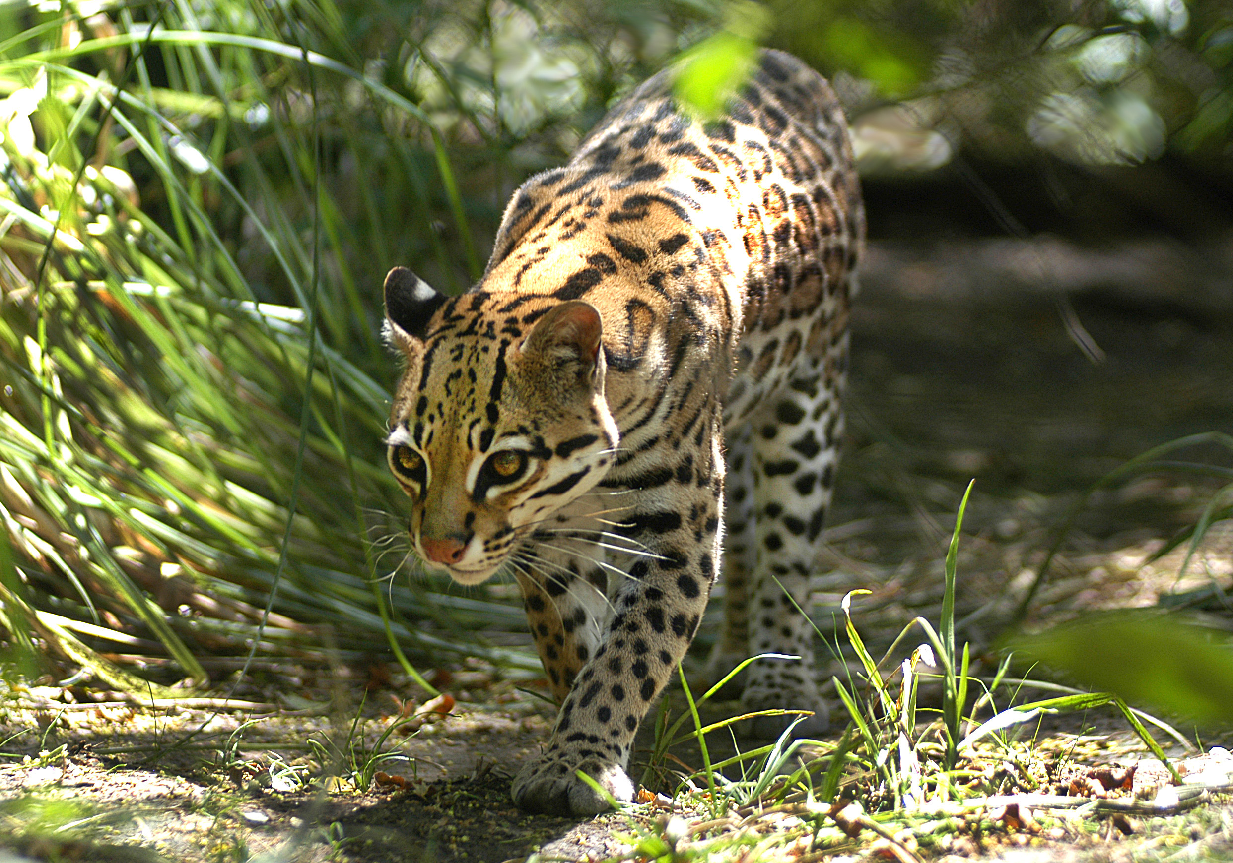 Uruguayan national parks