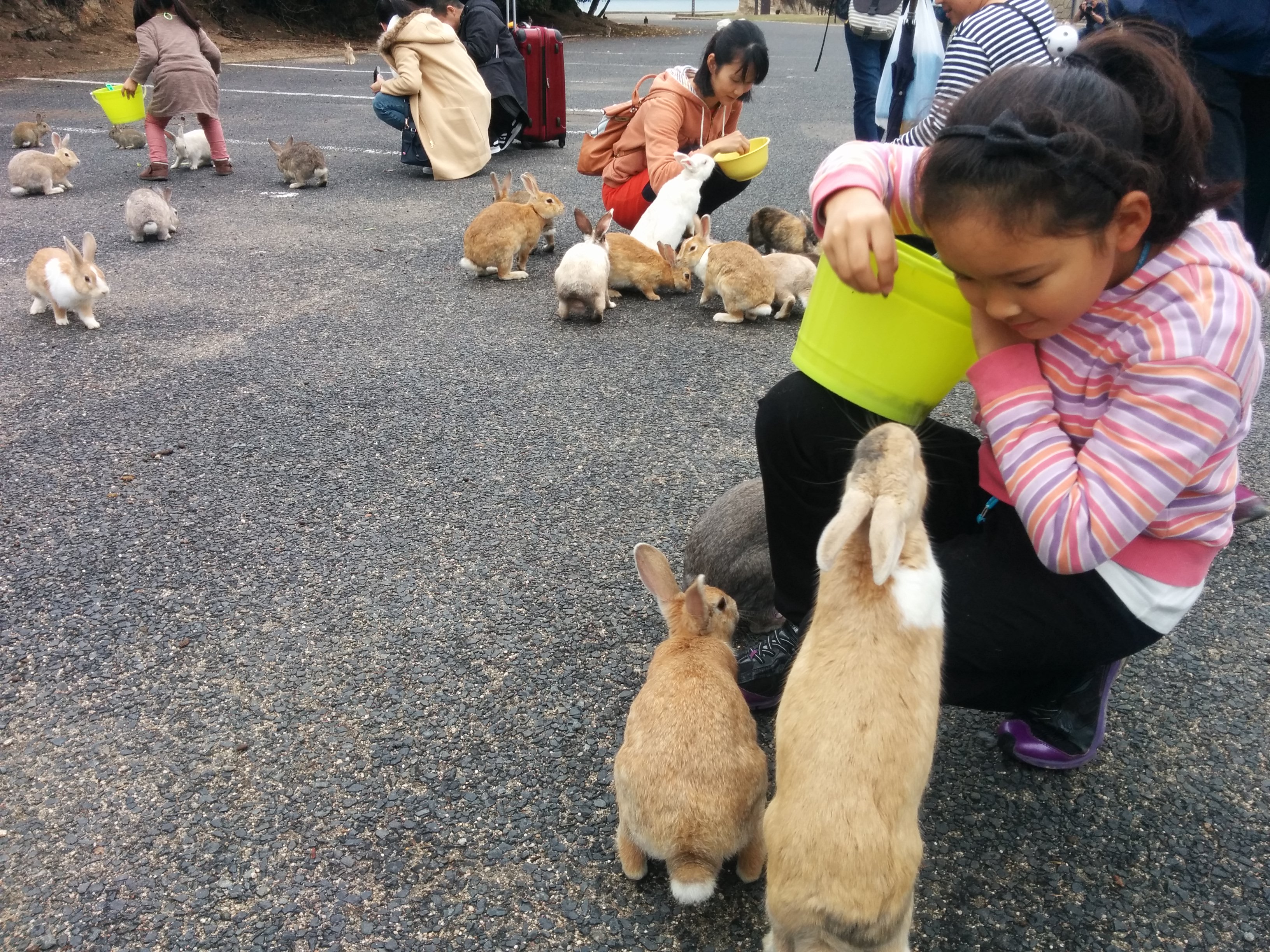 Ōkunoshima, Japan