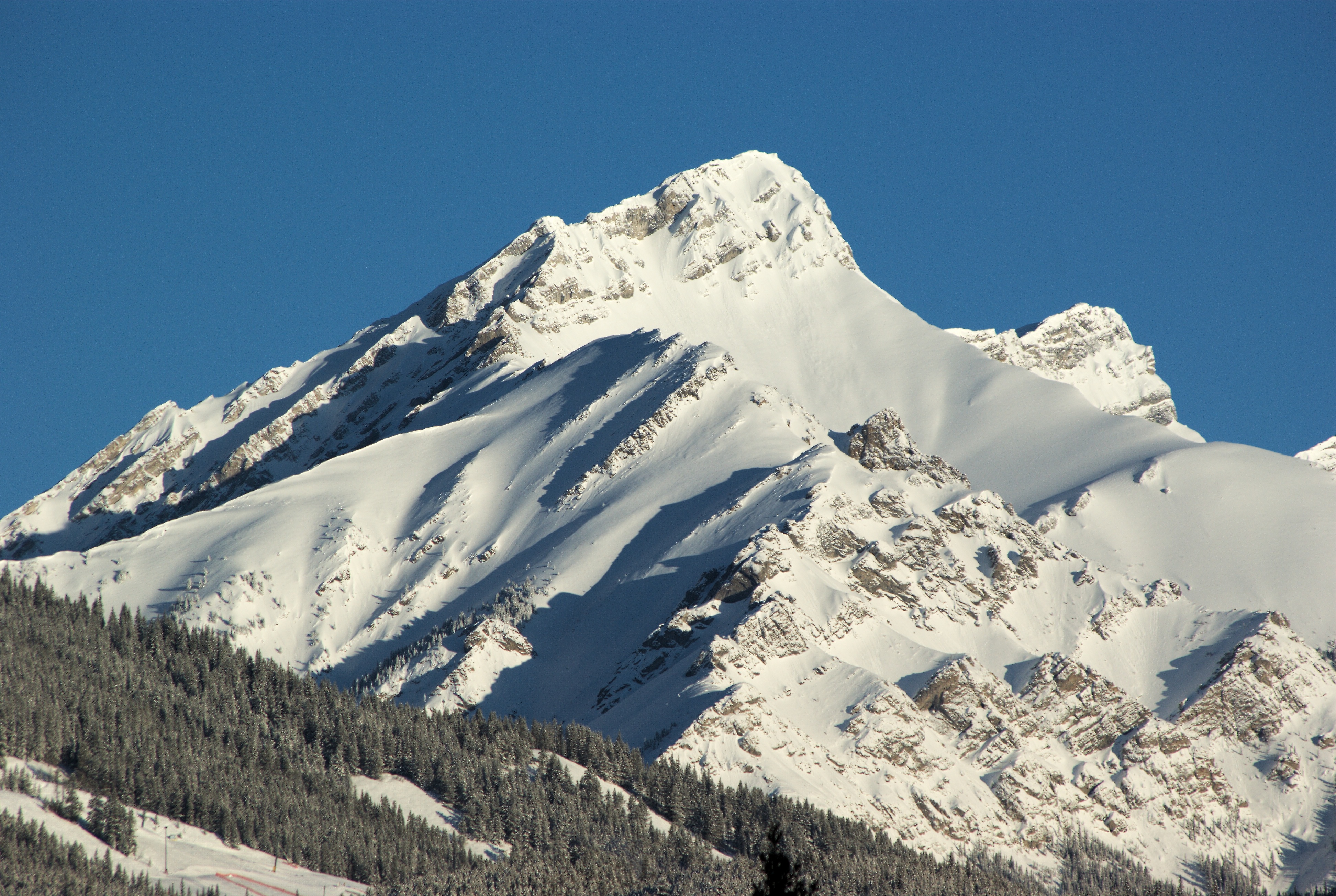 Mount Brewster
