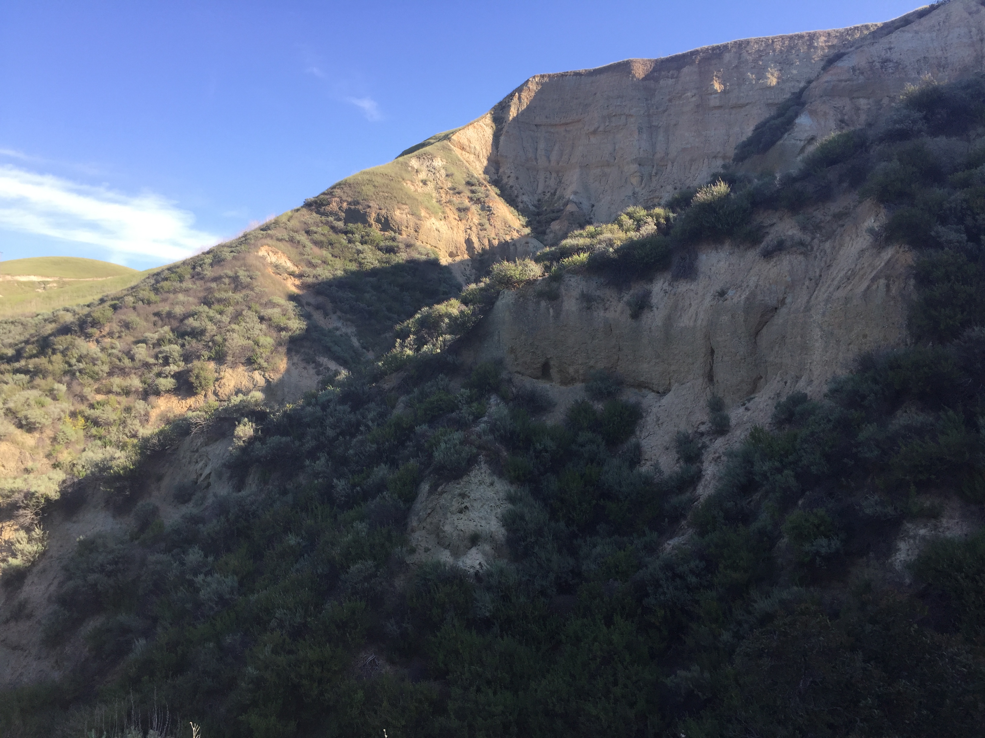 Arroyo del Valle Trail