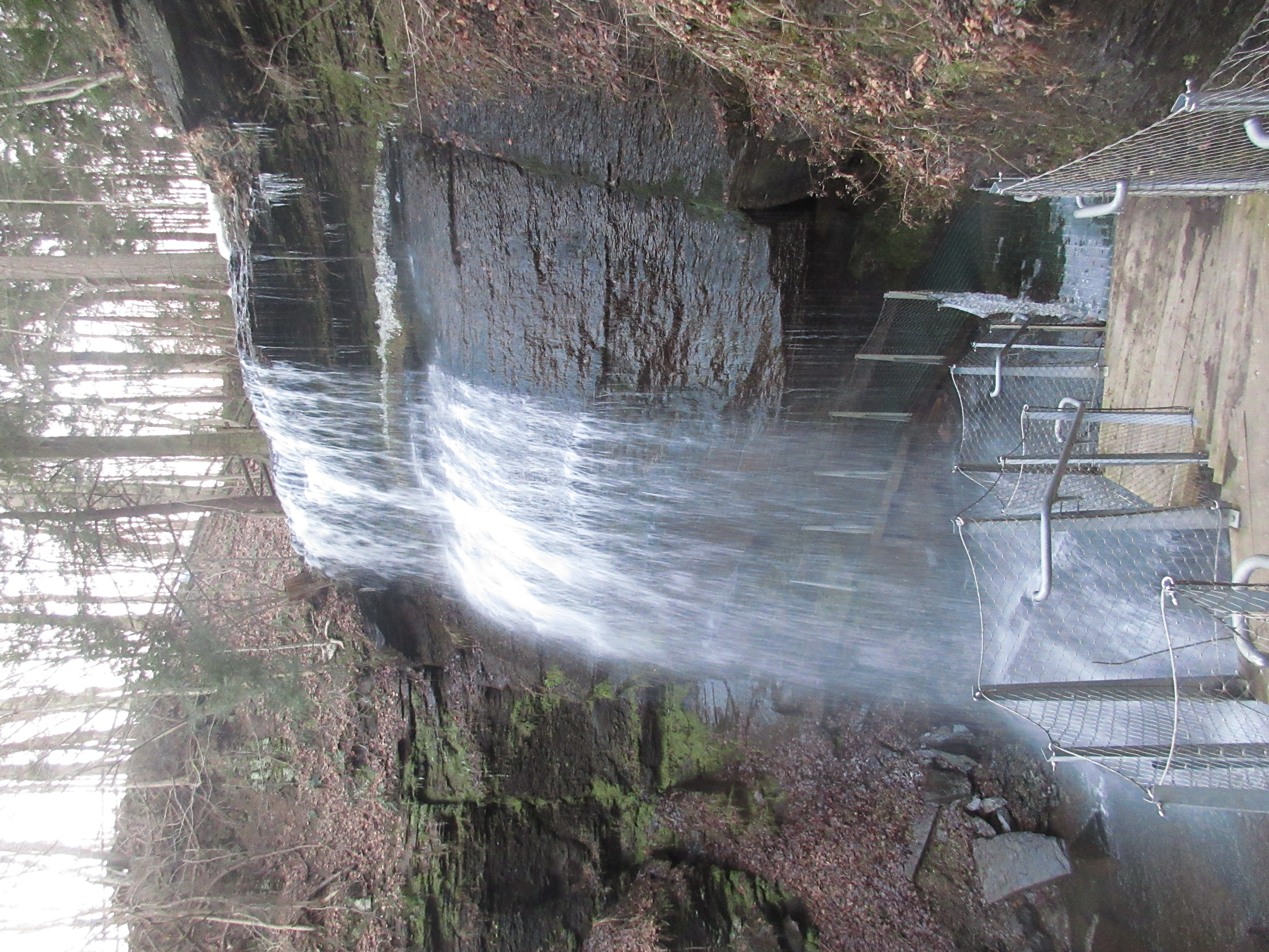 Buttermilk Falls Natural Area