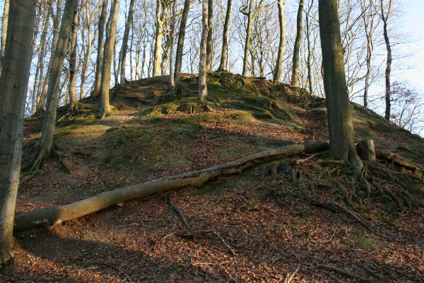 Motte Aldeberg