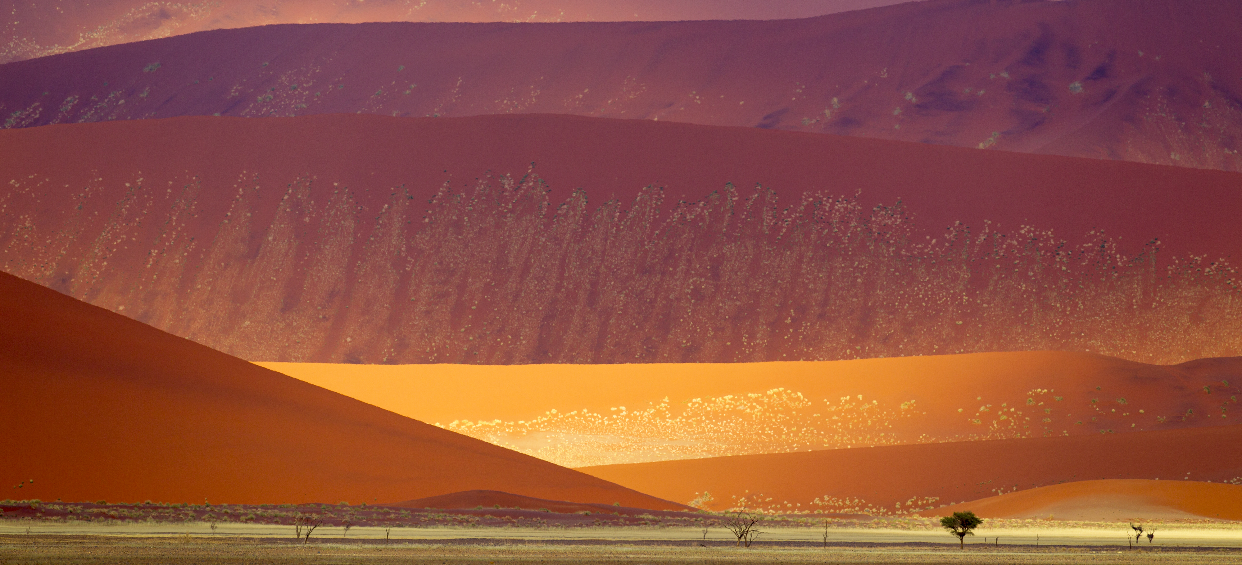 Namib-Naukluft National Park