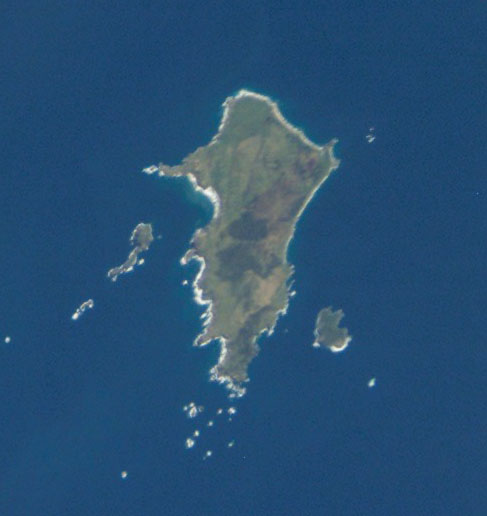 Pitt Island