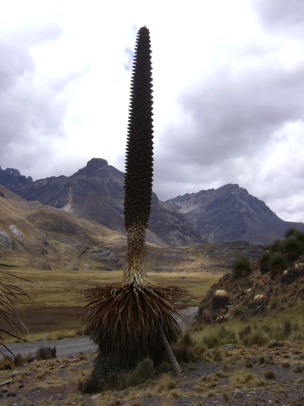 Huascarán National Park, Peru