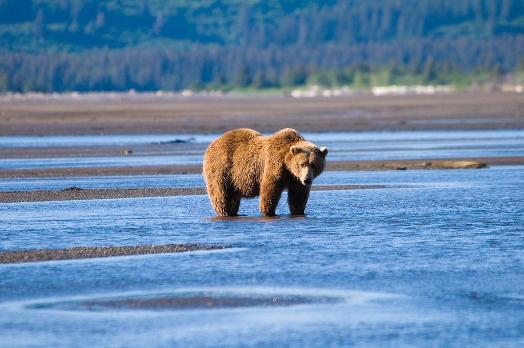 Katmai National Park and Preserve, United States