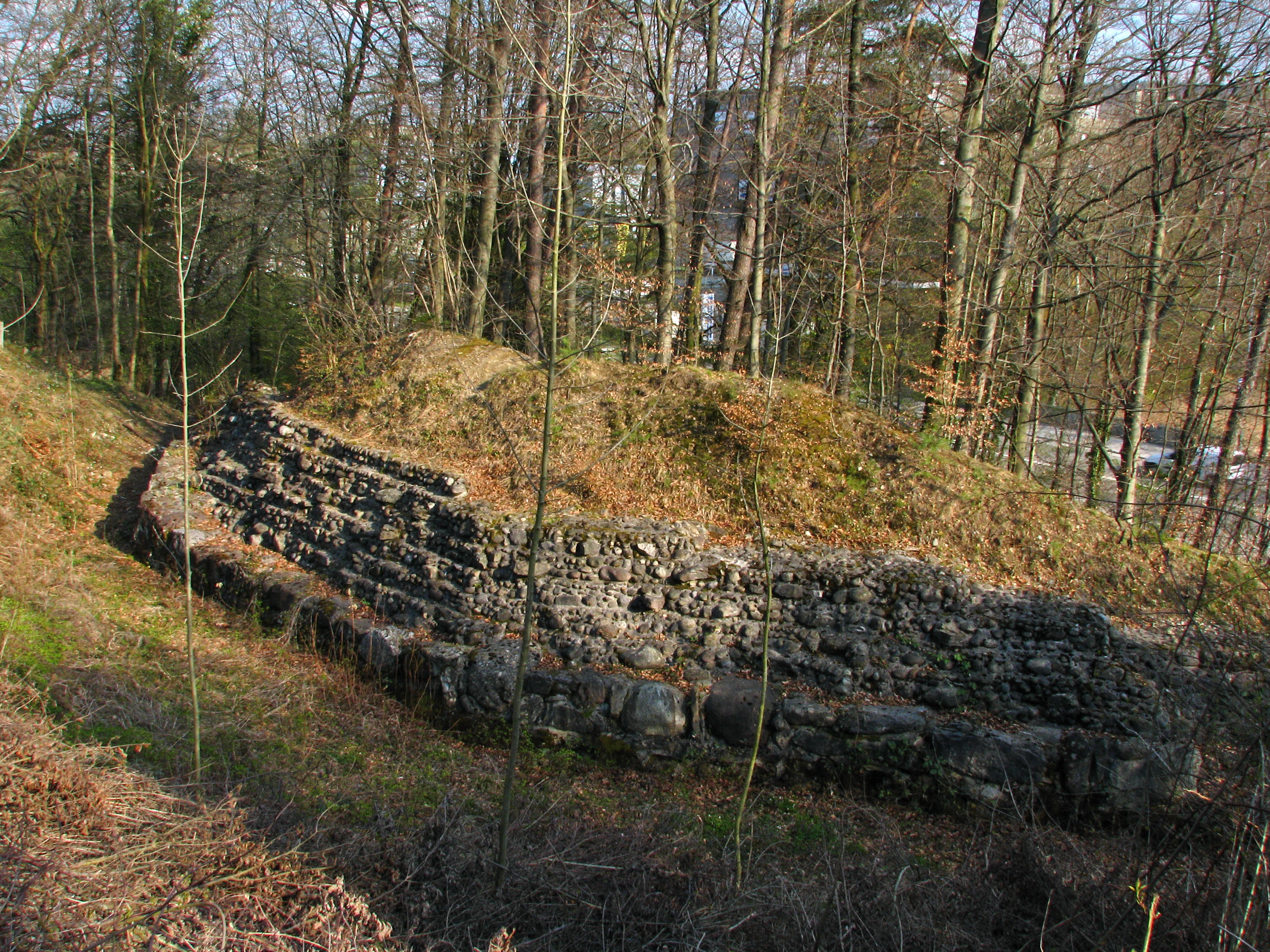Glanzenberg  ruin