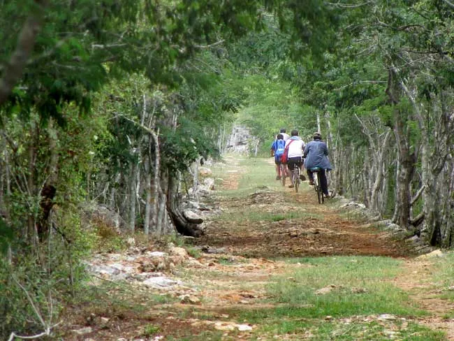 Camino del Mayab