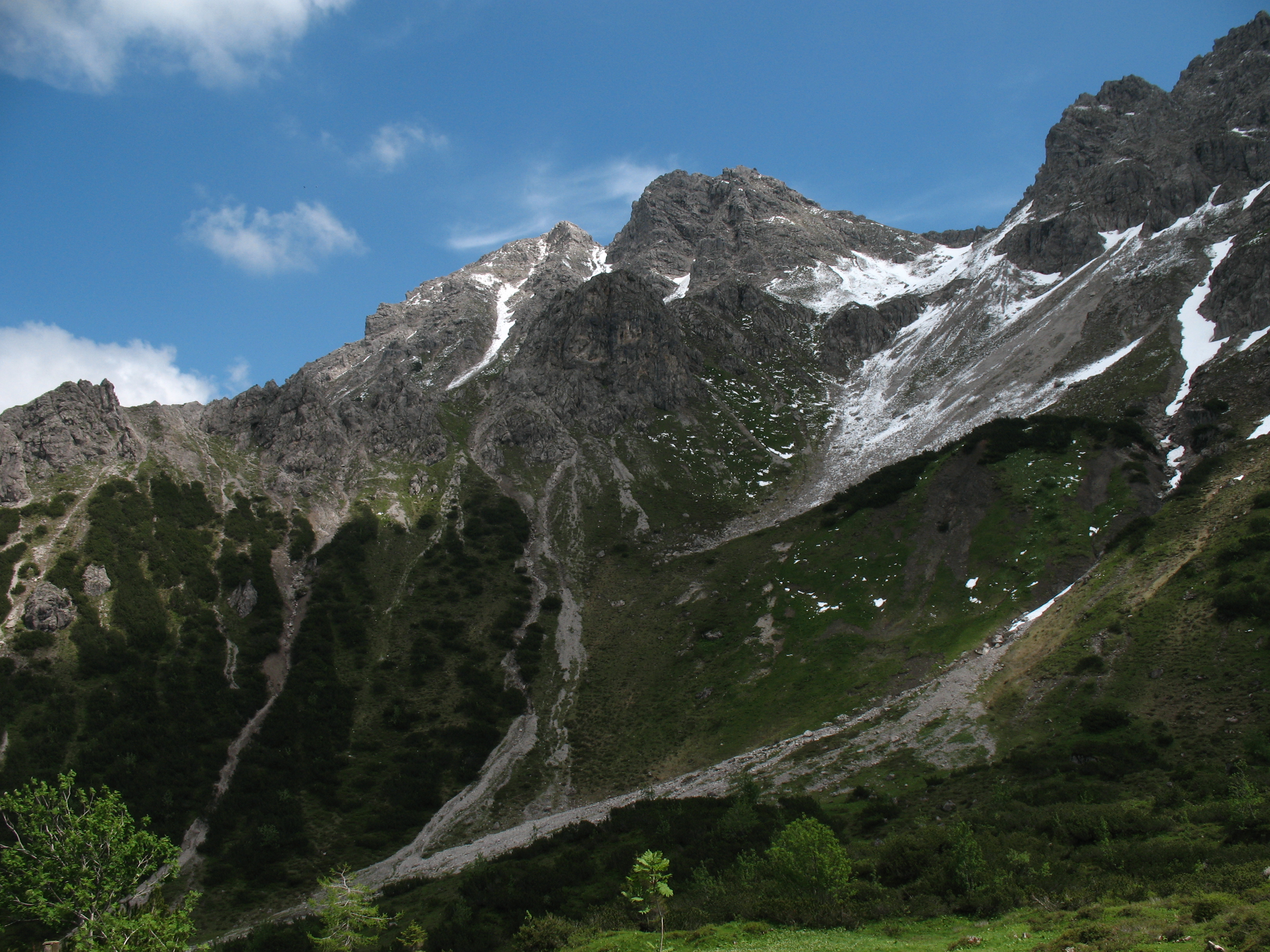 Alpgundkopf