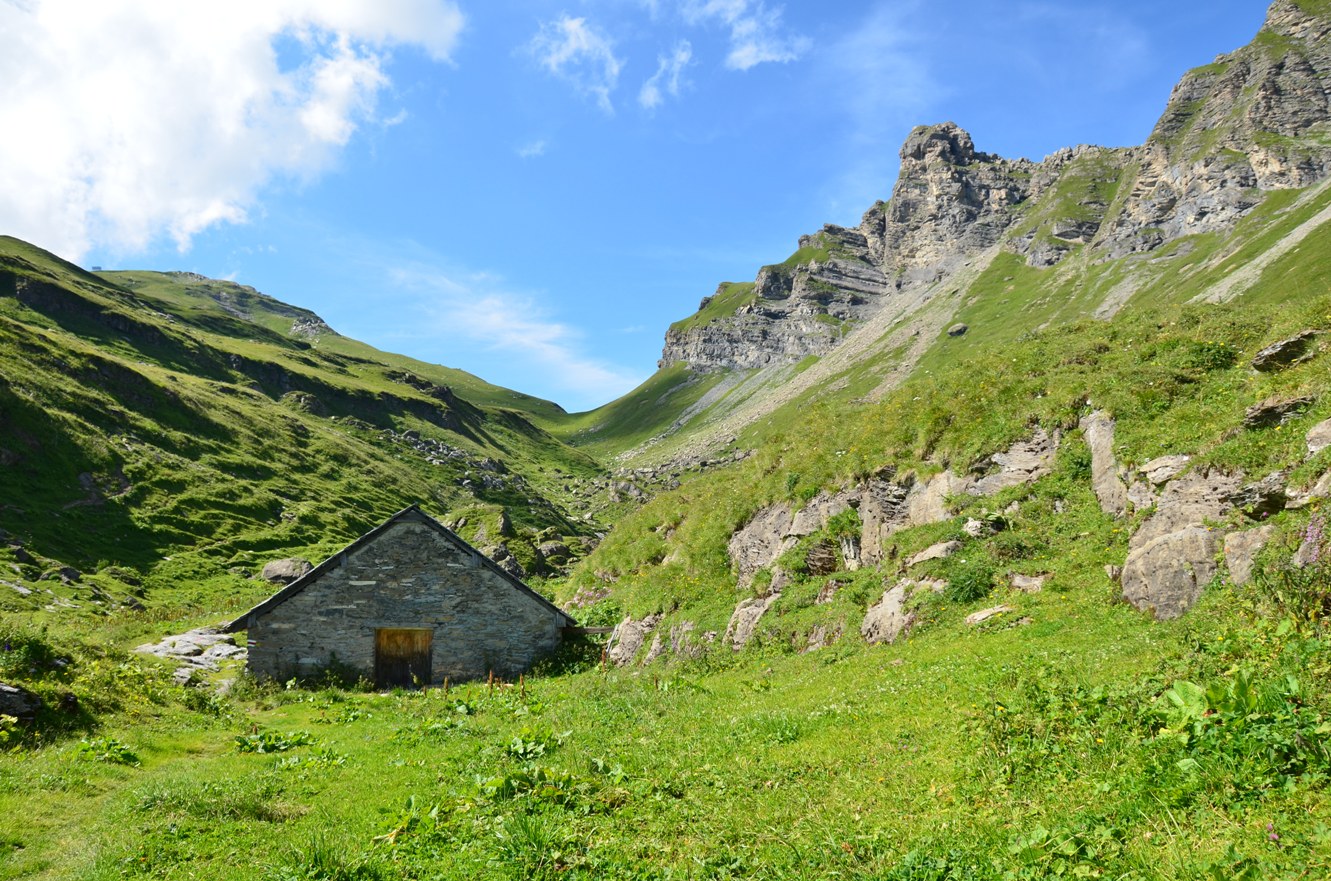 Cape au Moine