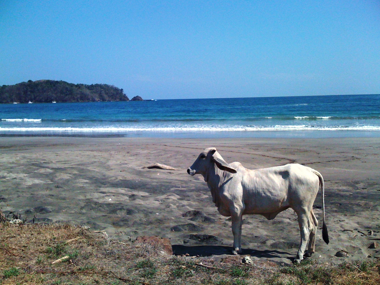 Puerto Carrillo, Costa Rica