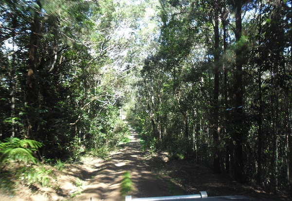Danbulla National Park