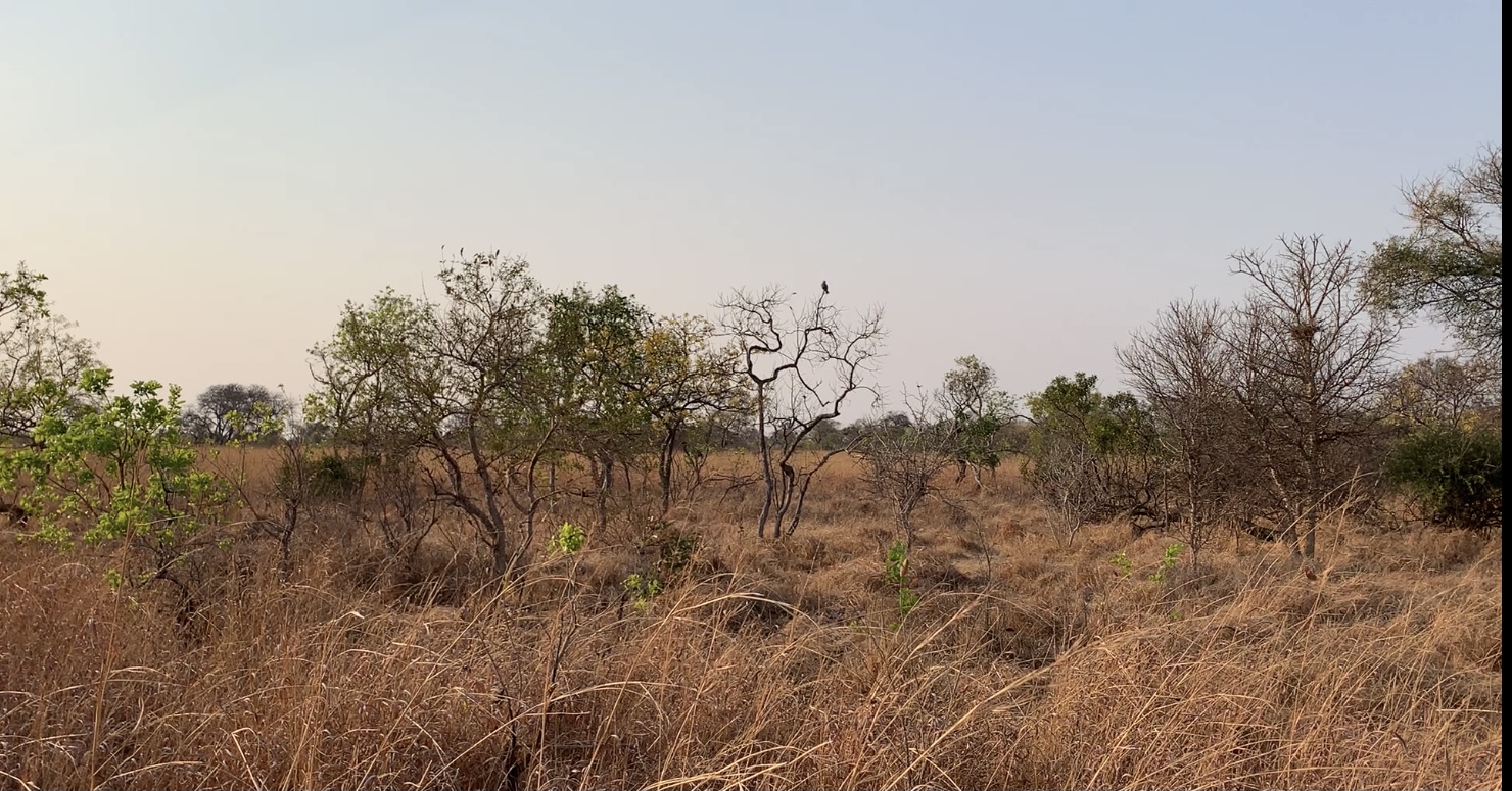 Kafue National Park