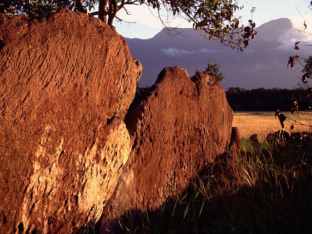 Duida-Marahuaca National Park
