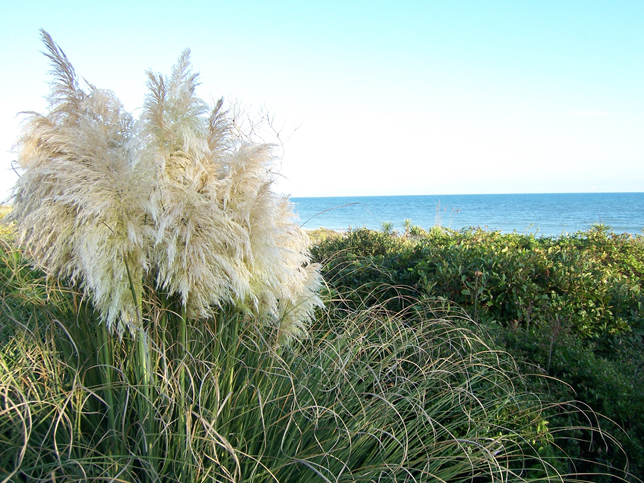 Atlantic Beach, United States