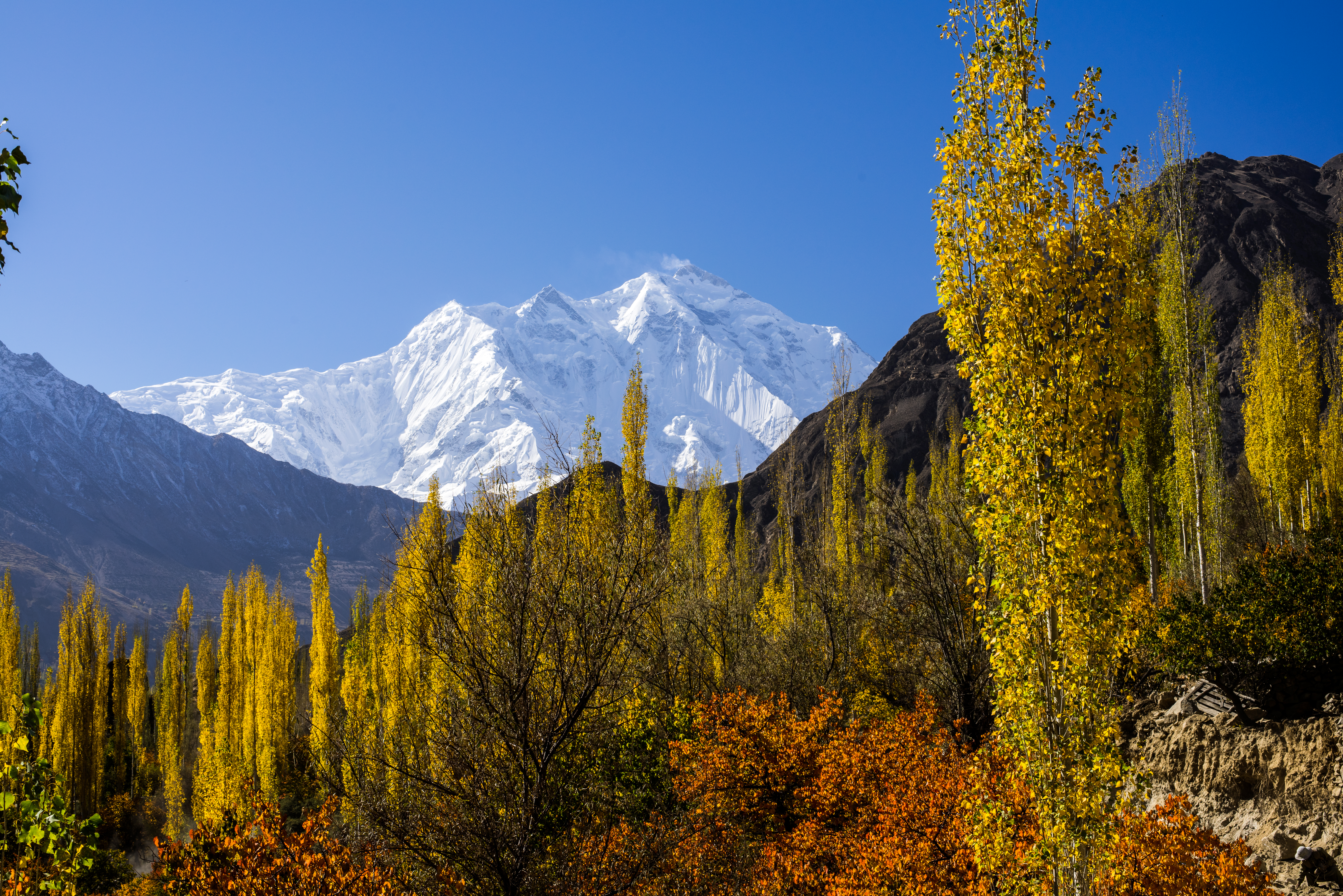 Rakaposhi