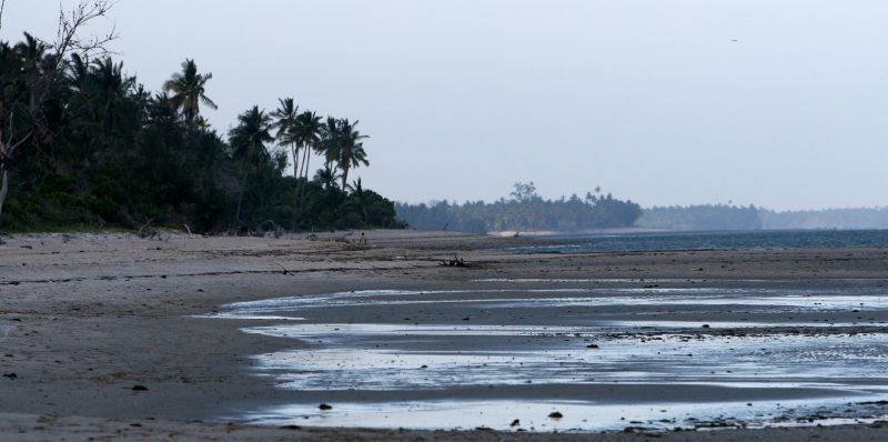 Saadani National Park