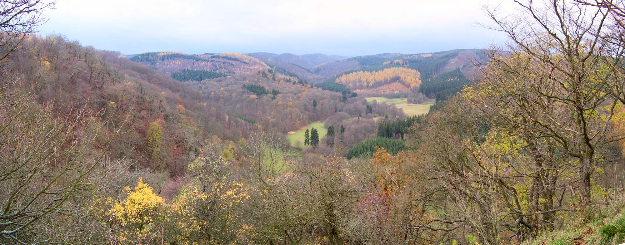 Old Falkenstein Castle