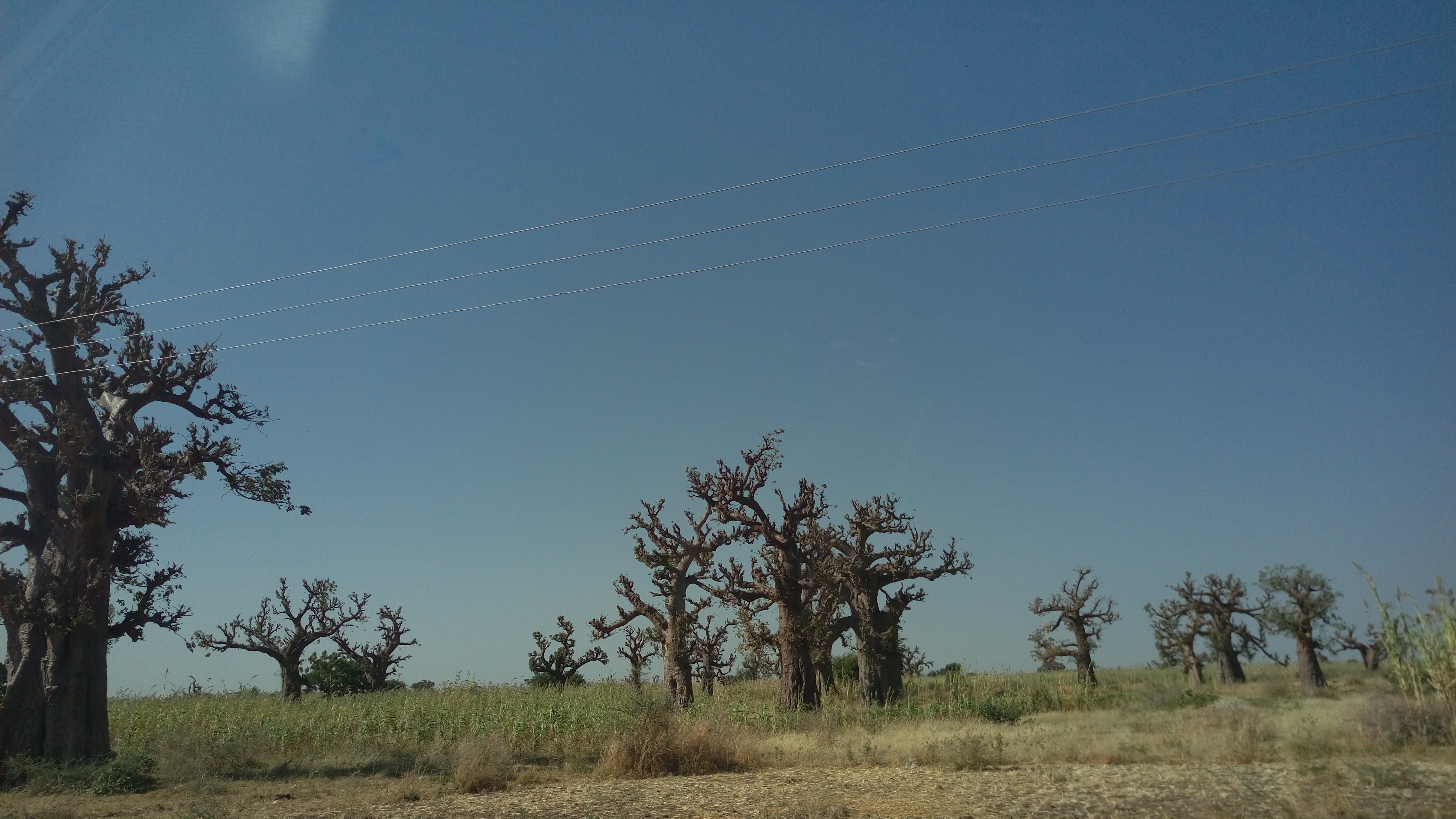 Zamfara State, Nigeria