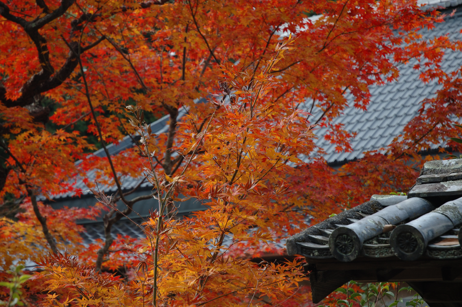 Sōja-shi, Japan