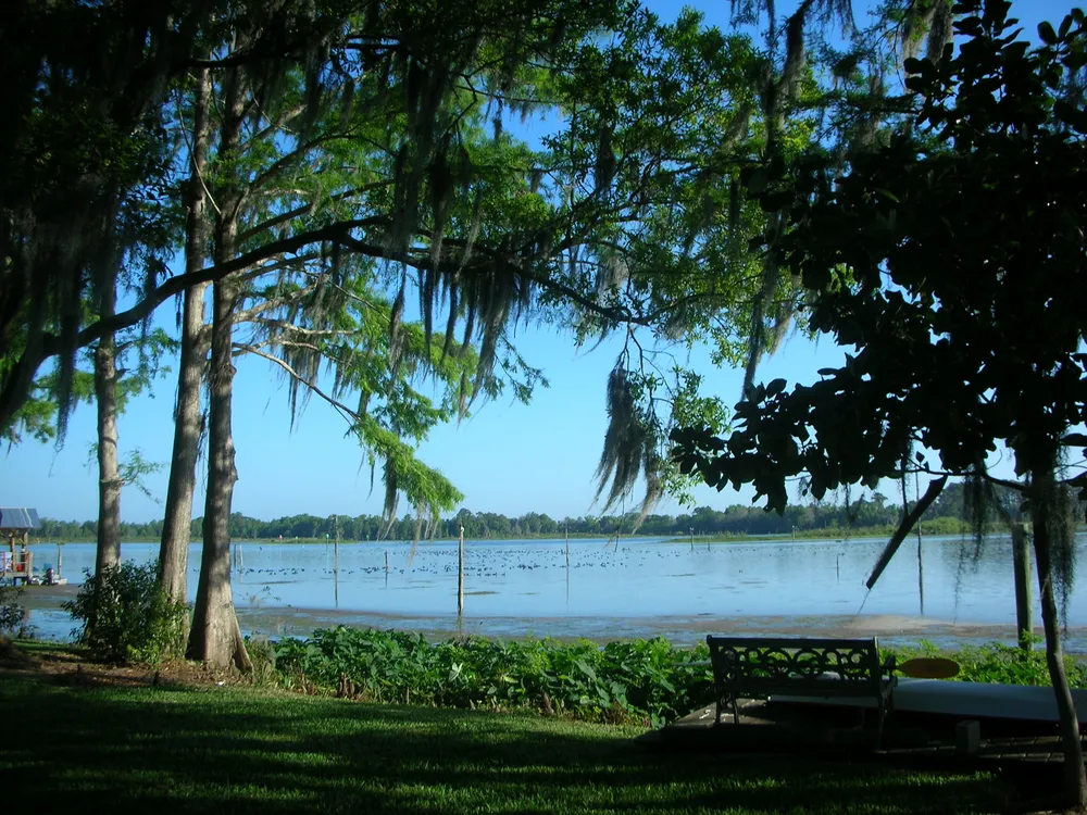 Lake Rousseau